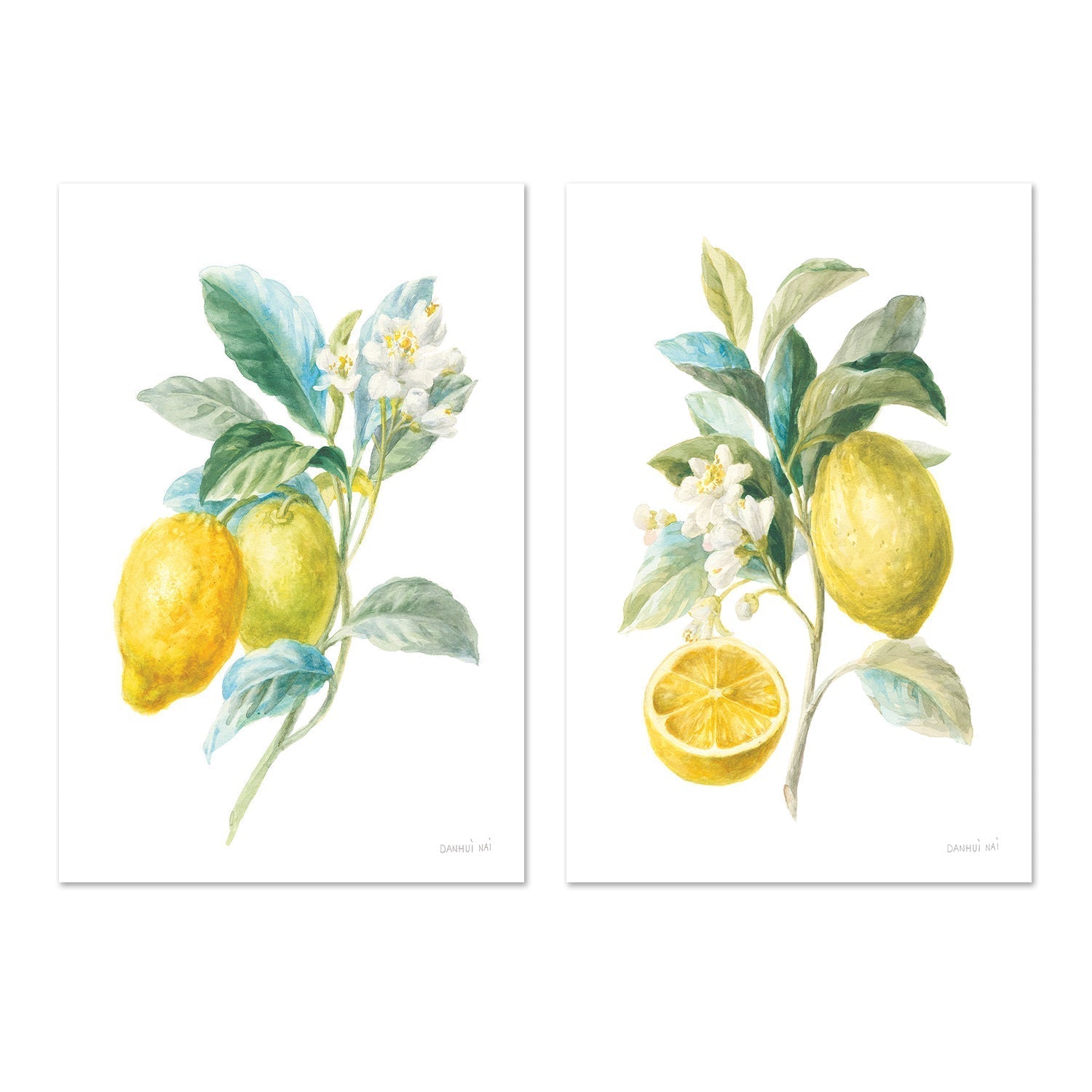 wall-art-print-canvas-poster-framed-Lemon Branch, Style A & B, Set Of 2 , By Danhui Nai-GIOIA-WALL-ART