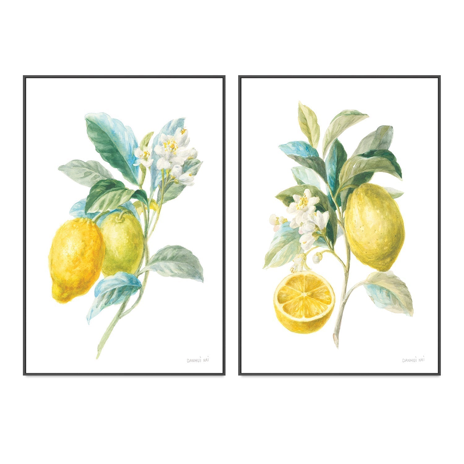 wall-art-print-canvas-poster-framed-Lemon Branch, Style A & B, Set Of 2 , By Danhui Nai-GIOIA-WALL-ART