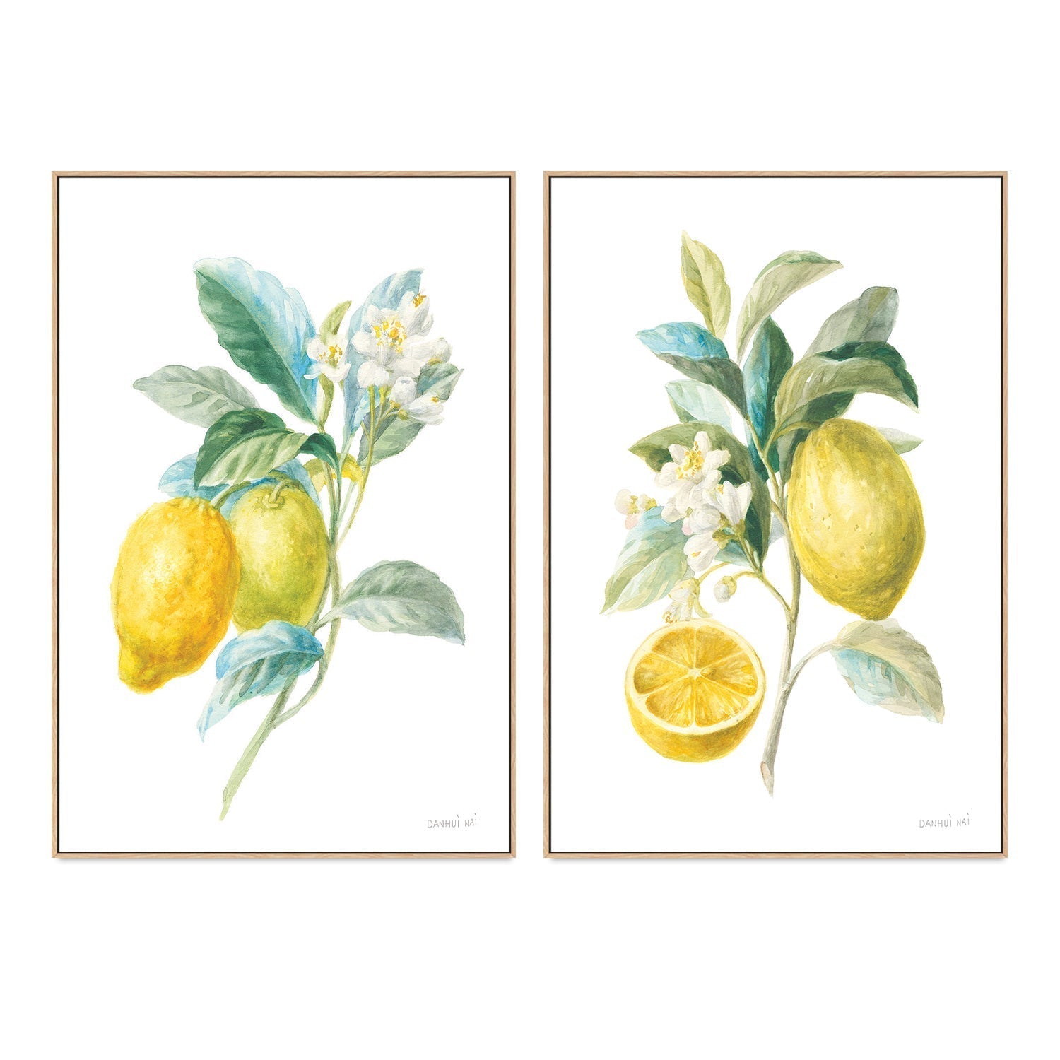 wall-art-print-canvas-poster-framed-Lemon Branch, Style A & B, Set Of 2 , By Danhui Nai-GIOIA-WALL-ART