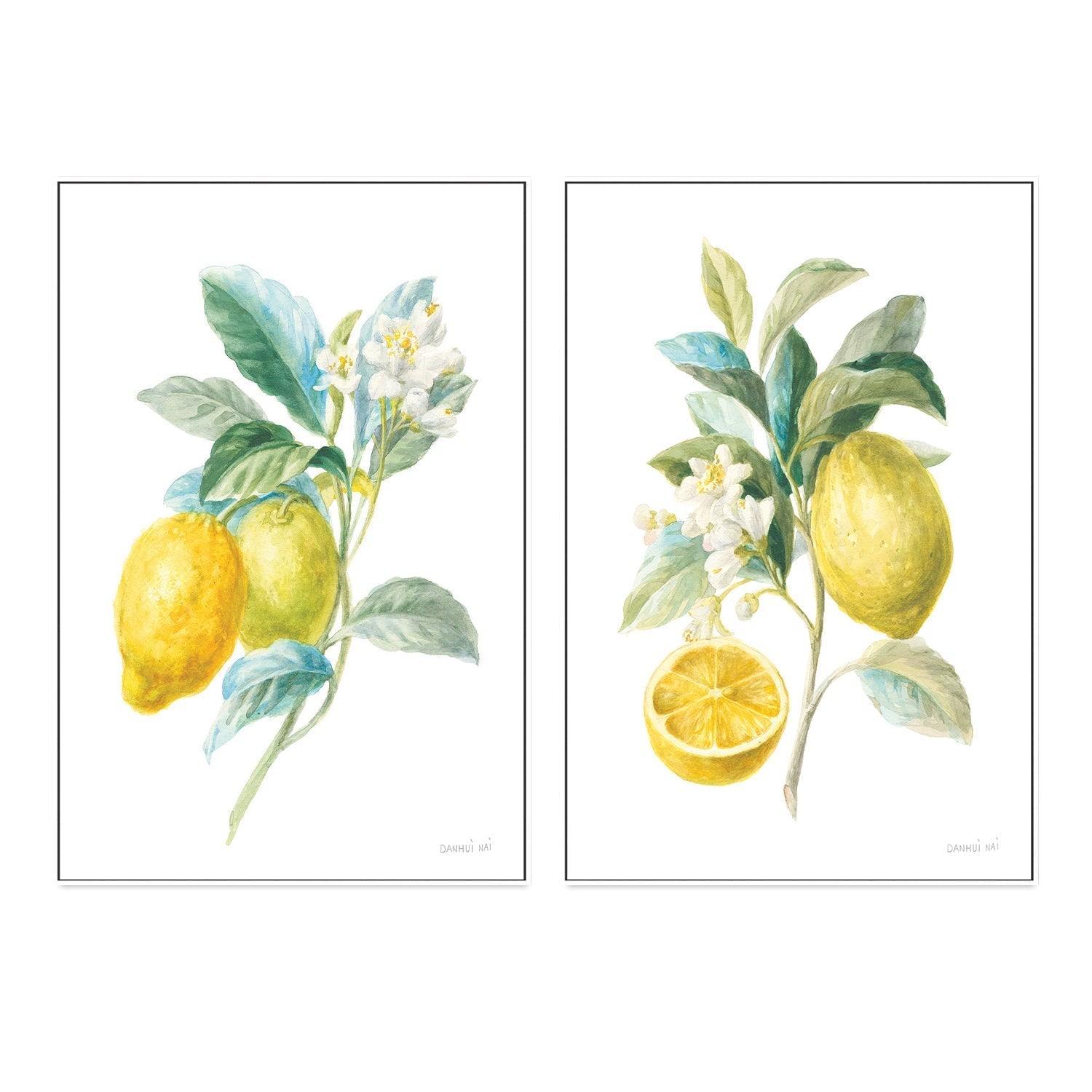 wall-art-print-canvas-poster-framed-Lemon Branch, Style A & B, Set Of 2 , By Danhui Nai-GIOIA-WALL-ART