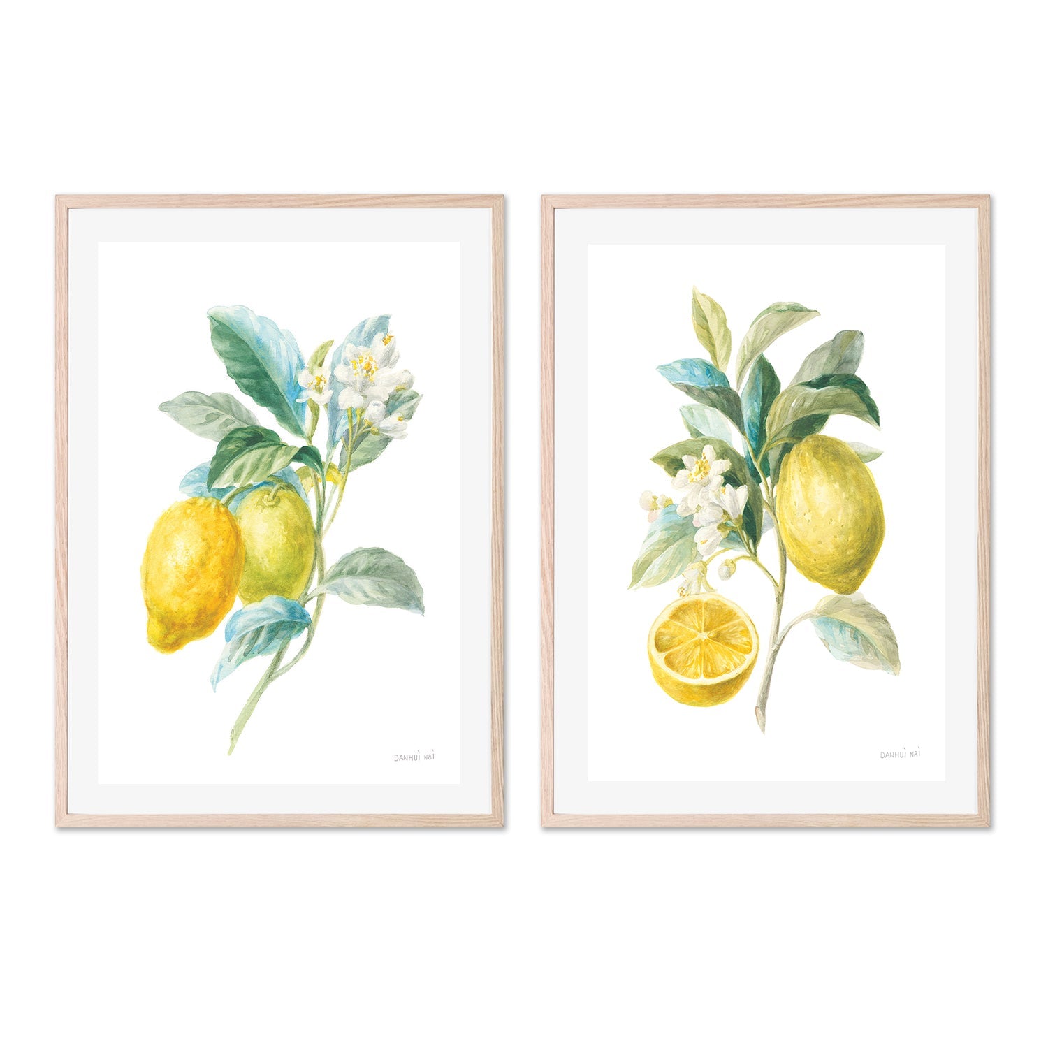 wall-art-print-canvas-poster-framed-Lemon Branch, Style A & B, Set Of 2 , By Danhui Nai-GIOIA-WALL-ART