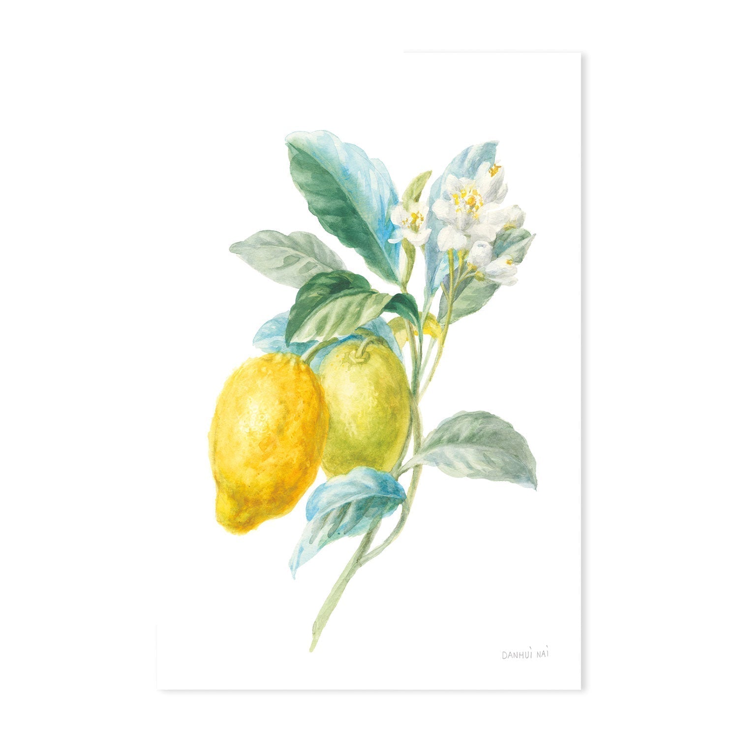 wall-art-print-canvas-poster-framed-Lemon Branch, Style A & B, Set Of 2 , By Danhui Nai-GIOIA-WALL-ART