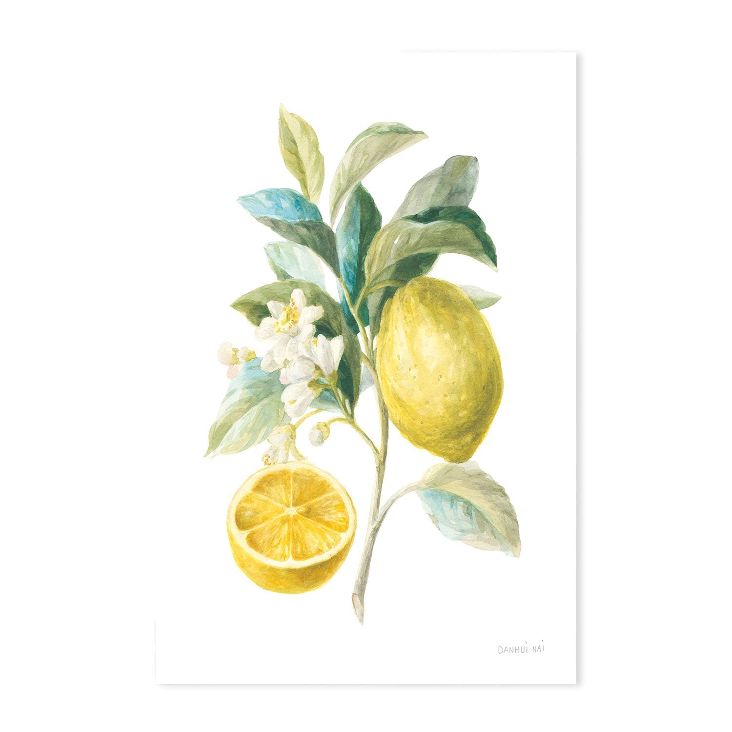 wall-art-print-canvas-poster-framed-Lemon Branch, Style A & B, Set Of 2 , By Danhui Nai-GIOIA-WALL-ART