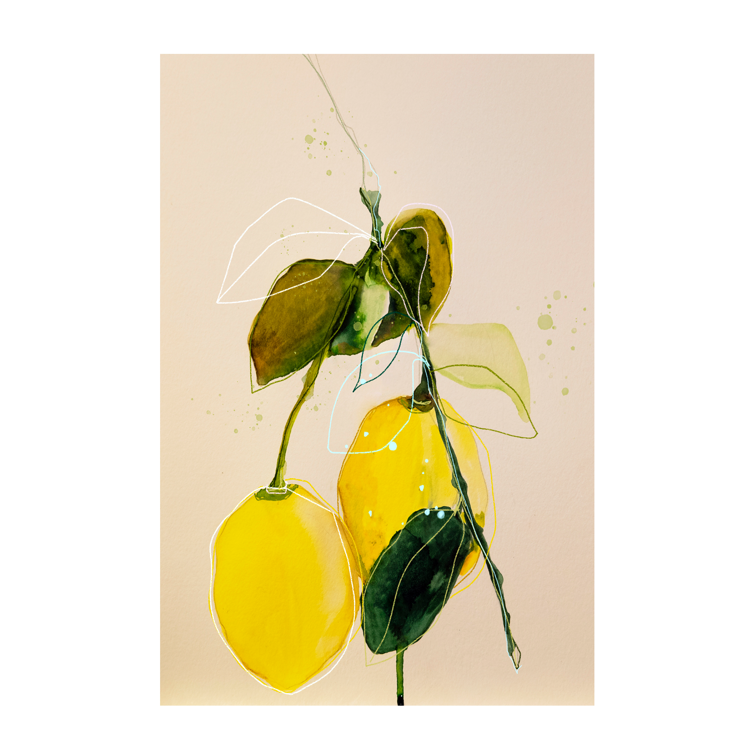 wall-art-print-canvas-poster-framed-Lemon Study, Style B , By Leigh Viner-1