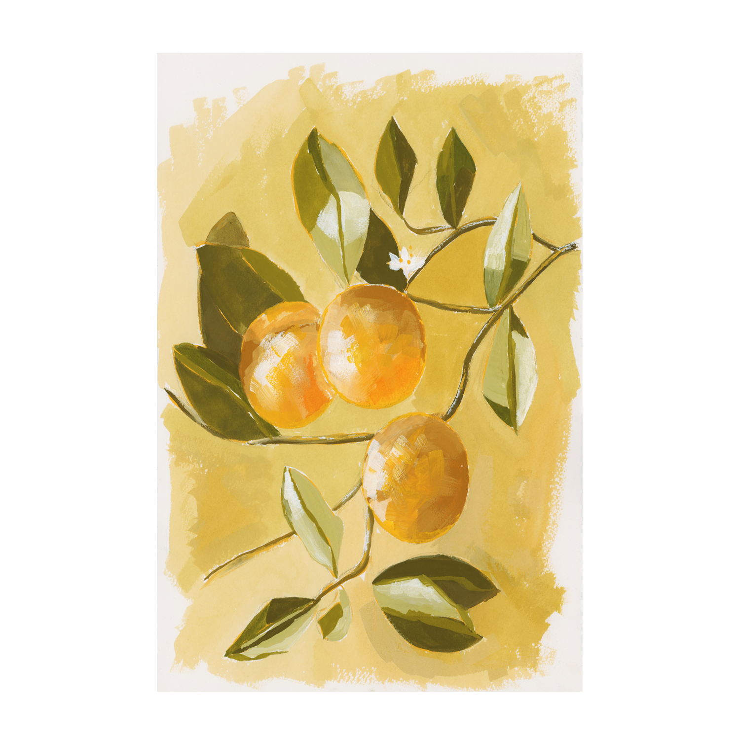 wall-art-print-canvas-poster-framed-Lemon Tree , By Lucrecia Caporale-1