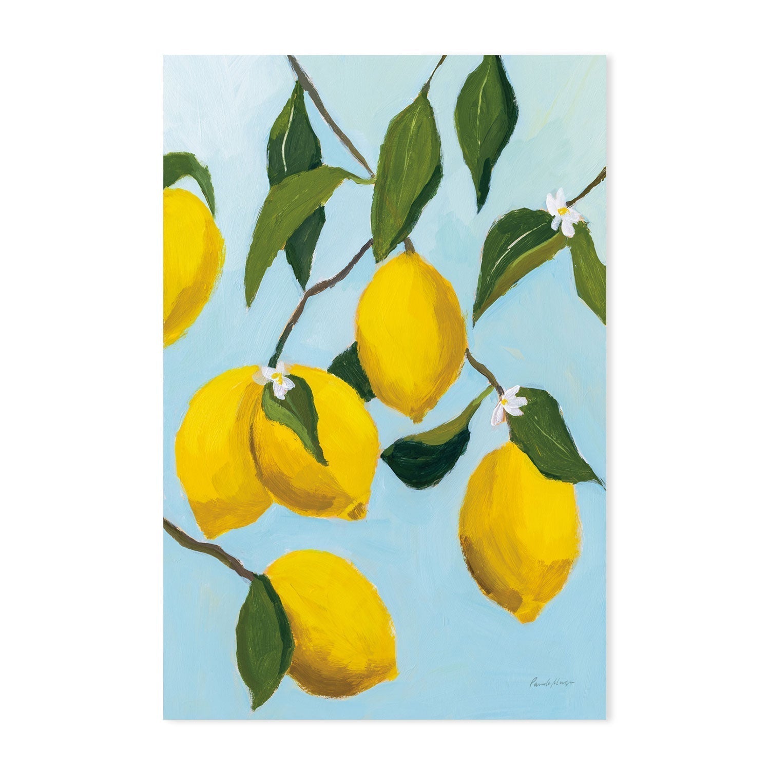 wall-art-print-canvas-poster-framed-Lemon Tree , By Pamela Munger-GIOIA-WALL-ART