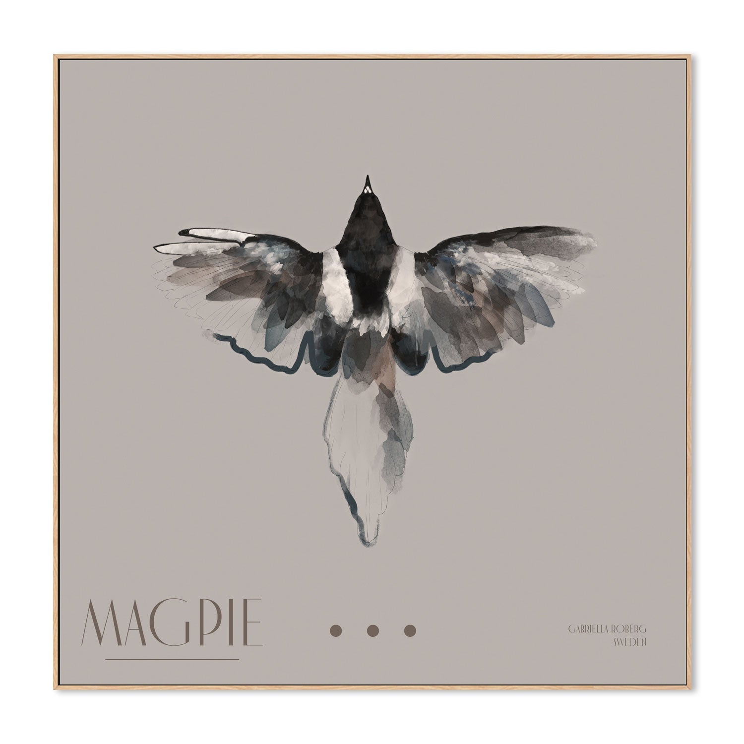 wall-art-print-canvas-poster-framed-Magpie, Style A , By Gabriella Roberg-4