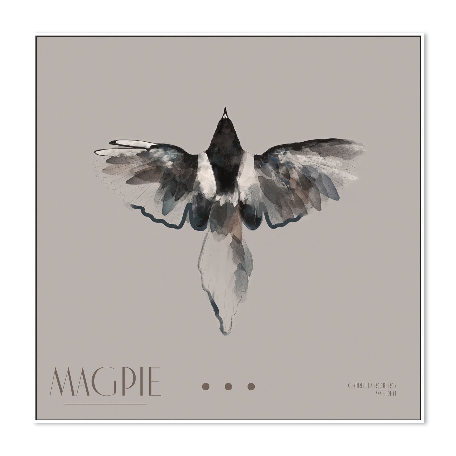 wall-art-print-canvas-poster-framed-Magpie, Style A , By Gabriella Roberg-5