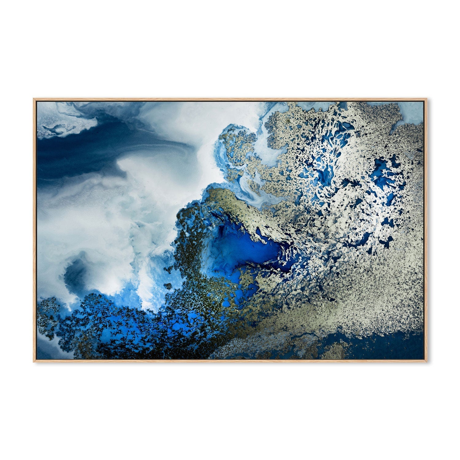 wall-art-print-canvas-poster-framed-Midnight Reef , By Petra Meikle-4