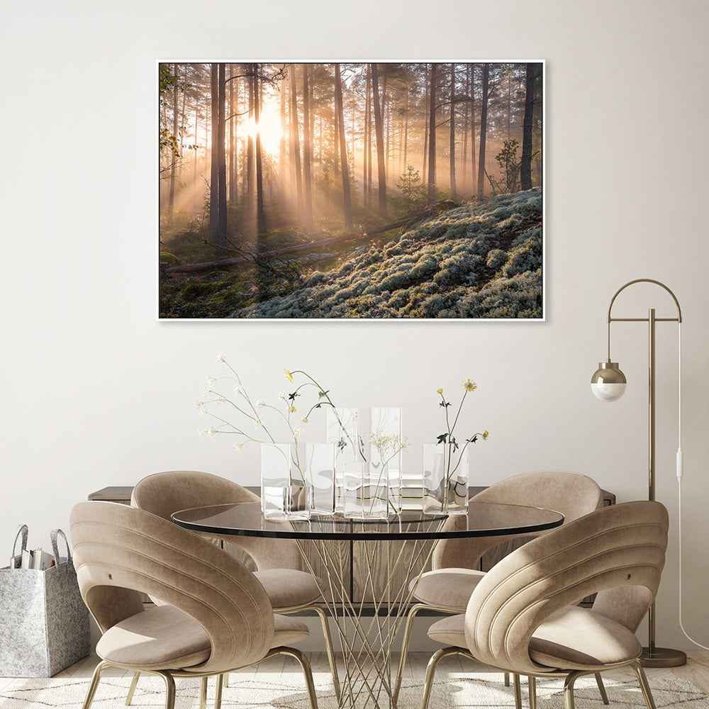 wall-art-print-canvas-poster-framed-Misty Forest , By Christian Lindsten-GIOIA-WALL-ART