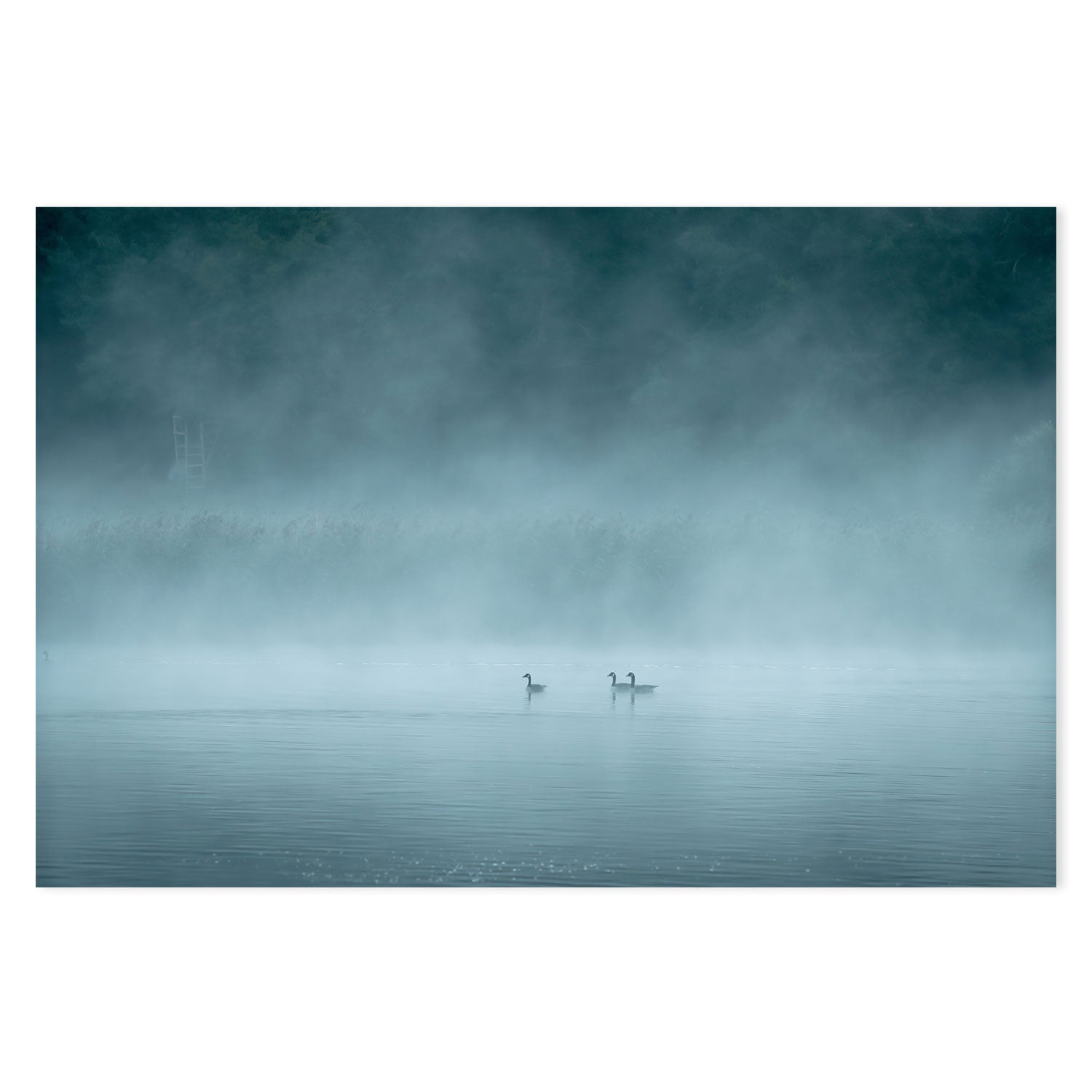 wall-art-print-canvas-poster-framed-Misty Lake , By Christian Lindsten-GIOIA-WALL-ART