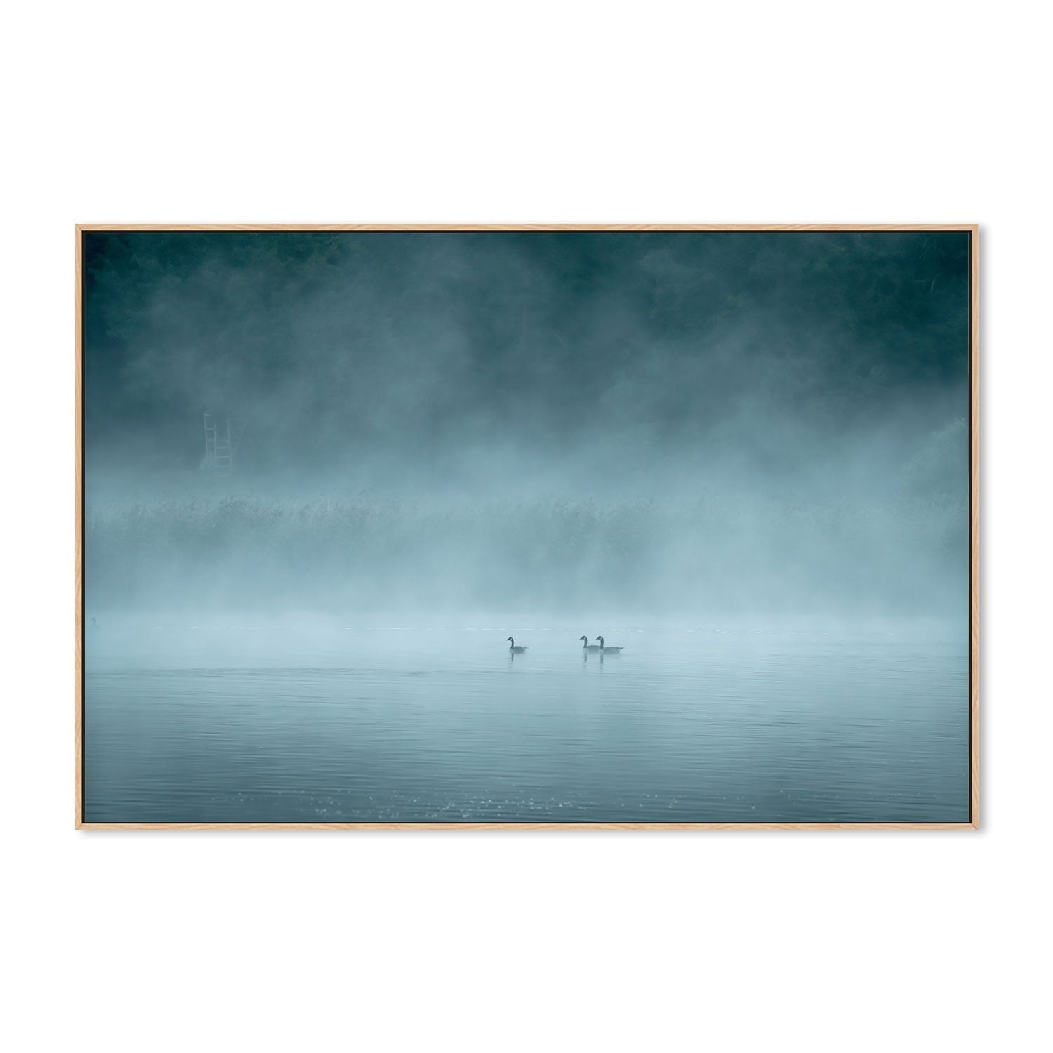 wall-art-print-canvas-poster-framed-Misty Lake , By Christian Lindsten-GIOIA-WALL-ART