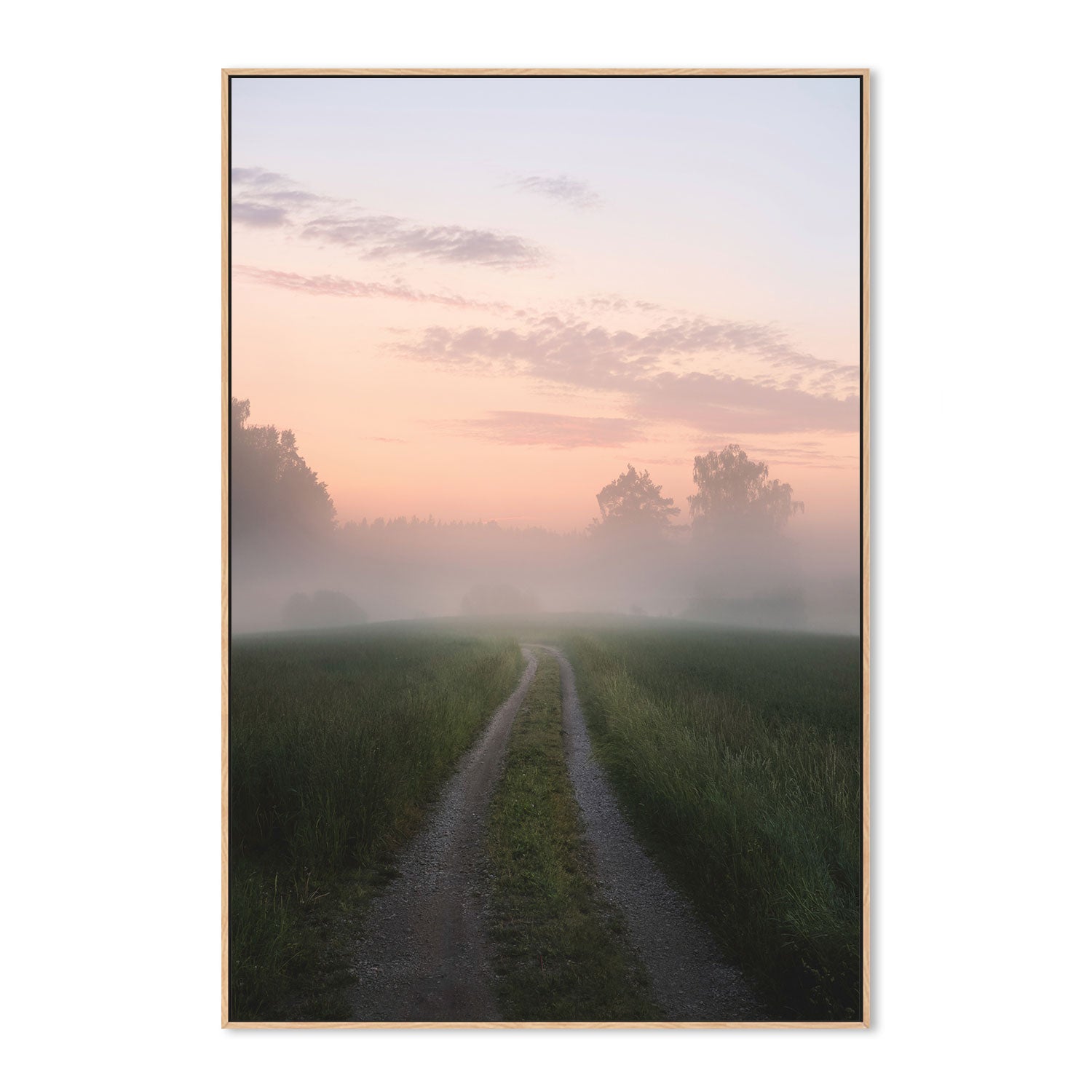 wall-art-print-canvas-poster-framed-Misty Pathway , By Christian Lindsten-GIOIA-WALL-ART