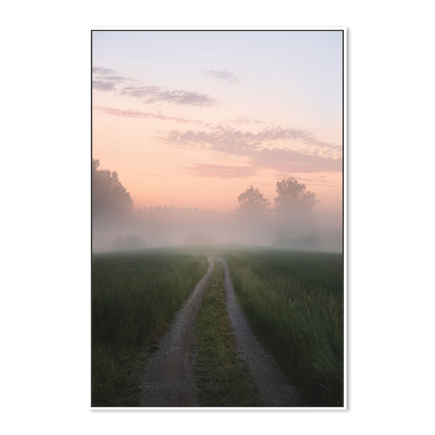 wall-art-print-canvas-poster-framed-Misty Pathway , By Christian Lindsten-GIOIA-WALL-ART