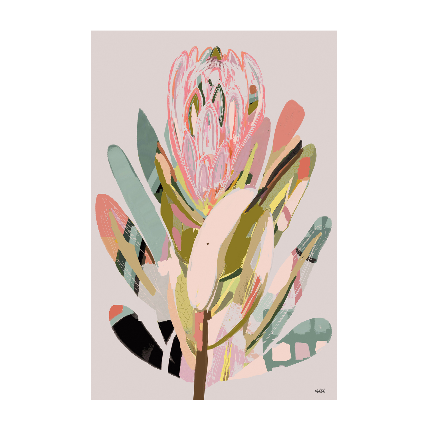 wall-art-print-canvas-poster-framed-Modern Protea , By Inkheart Designs-1