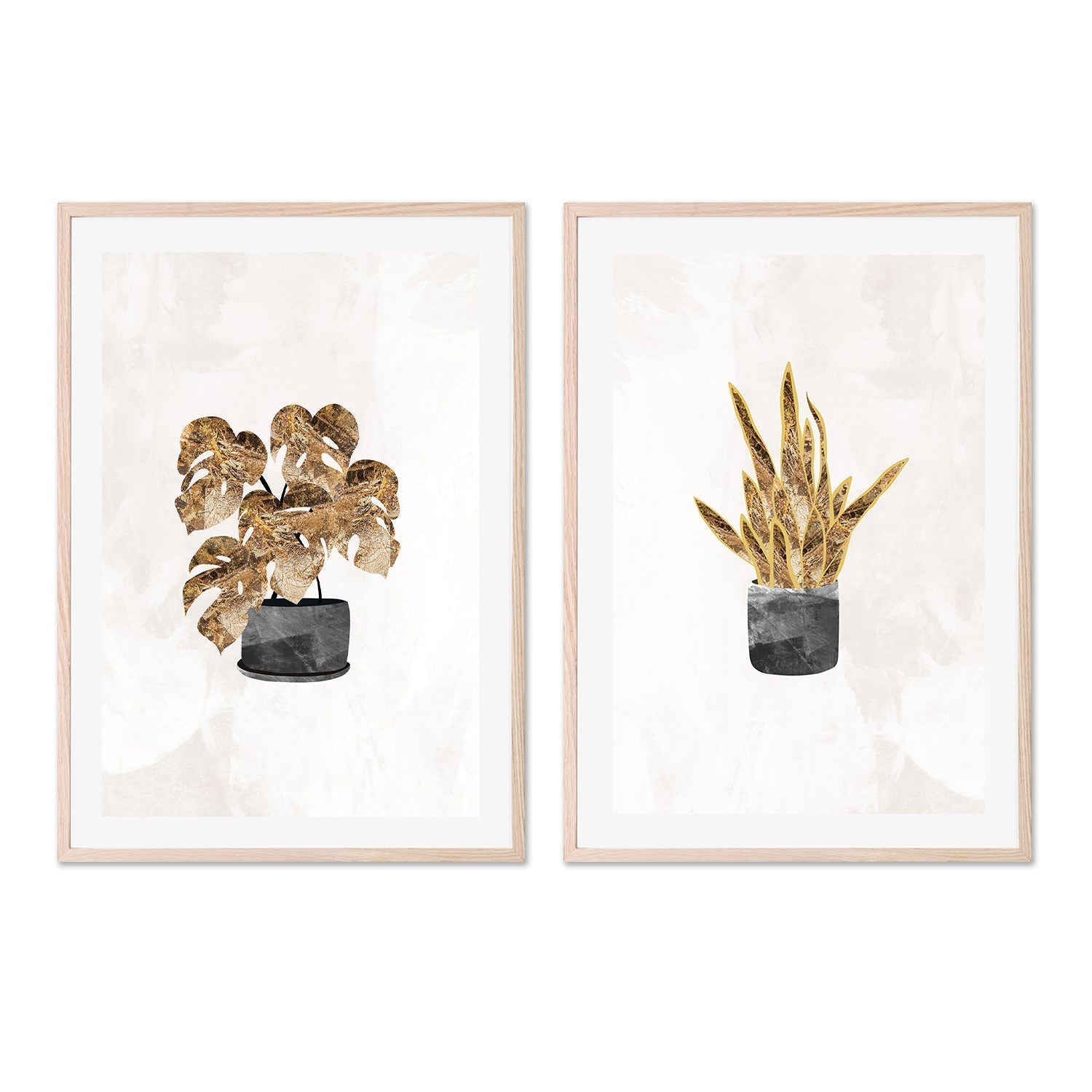 wall-art-print-canvas-poster-framed-Monstera And Snake Plant, Set Of 2 , By Sarah Manovski-GIOIA-WALL-ART