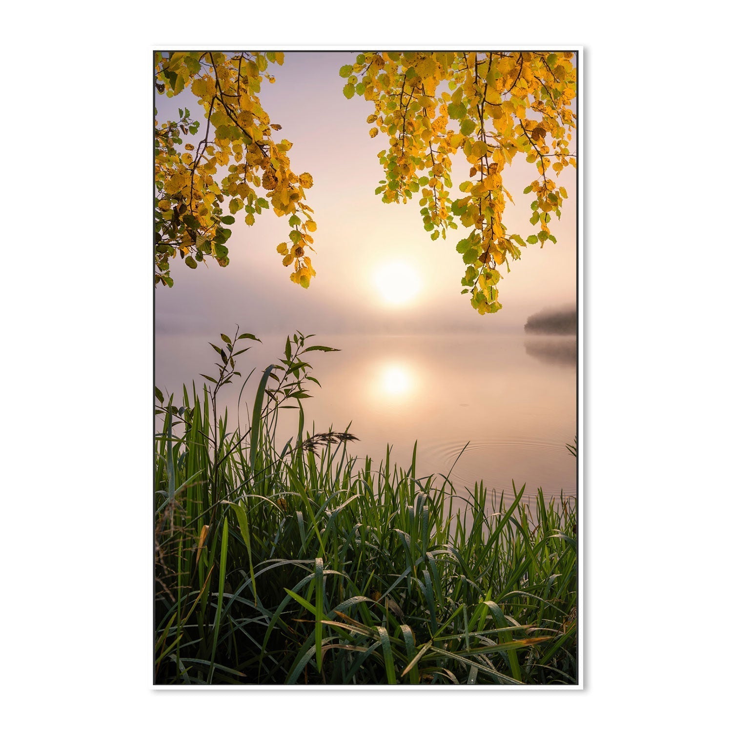 wall-art-print-canvas-poster-framed-Morning Light , By Christian Lindsten-GIOIA-WALL-ART