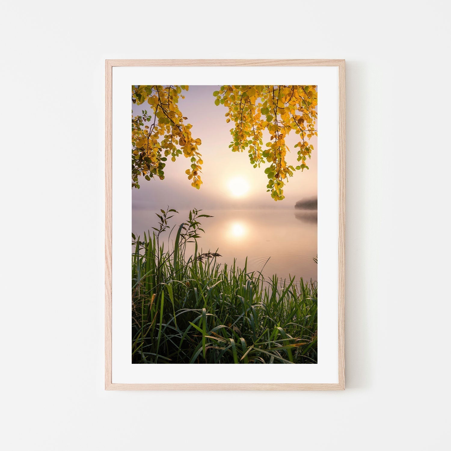 wall-art-print-canvas-poster-framed-Morning Light , By Christian Lindsten-GIOIA-WALL-ART