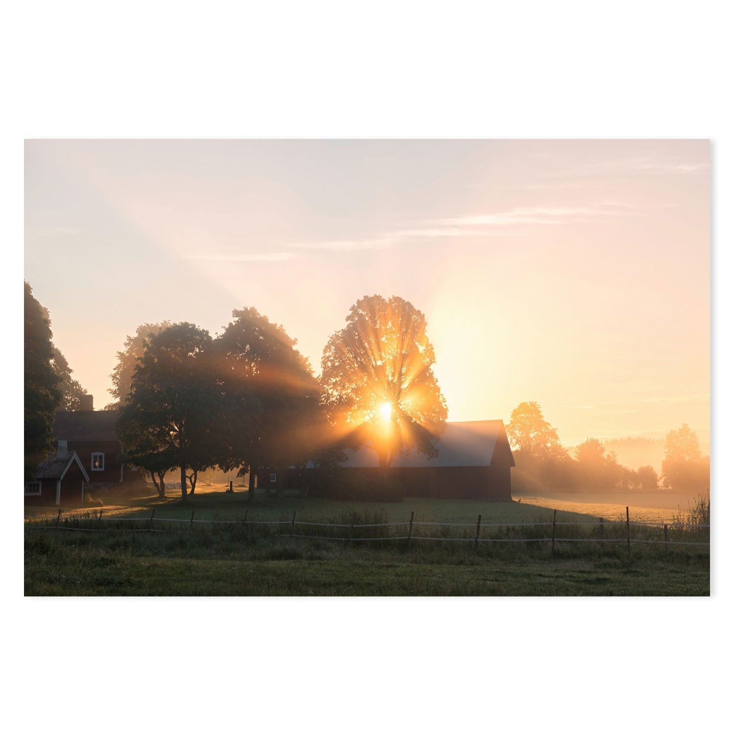 wall-art-print-canvas-poster-framed-Morning Sunrise , By Christian Lindsten-GIOIA-WALL-ART