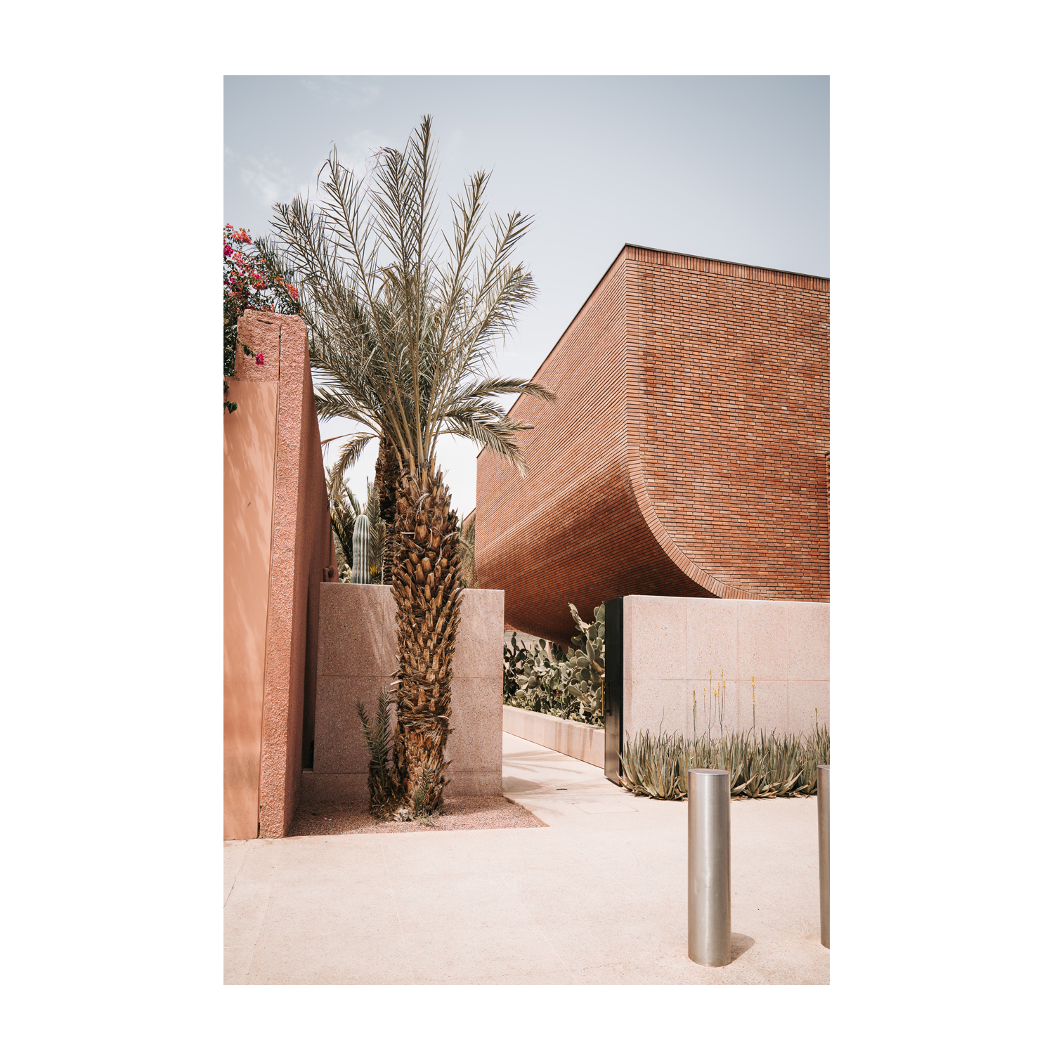 wall-art-print-canvas-poster-framed-Moroccan Palm Tree , By Josh Silver-1