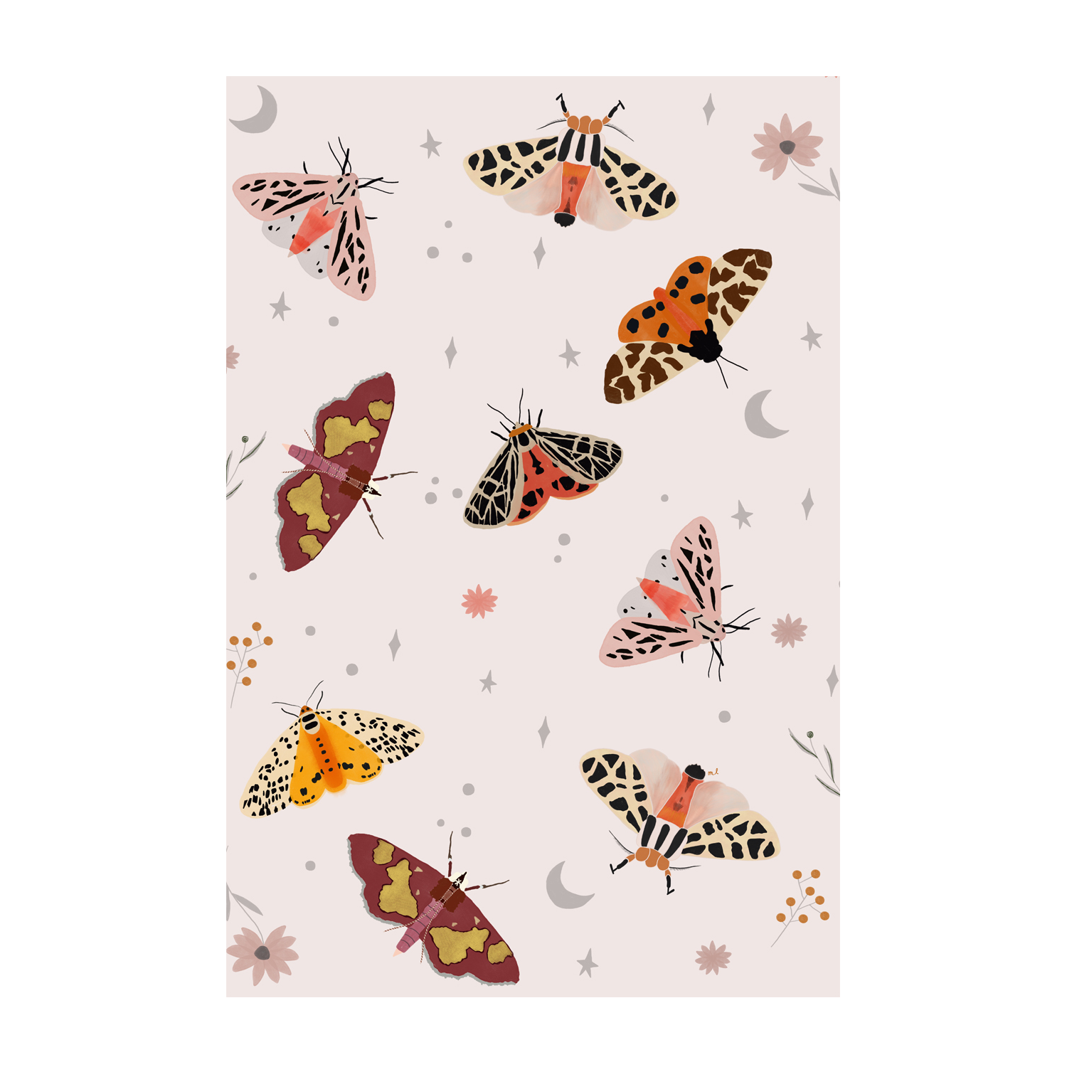 wall-art-print-canvas-poster-framed-Moth , By Menina Lisboa-1