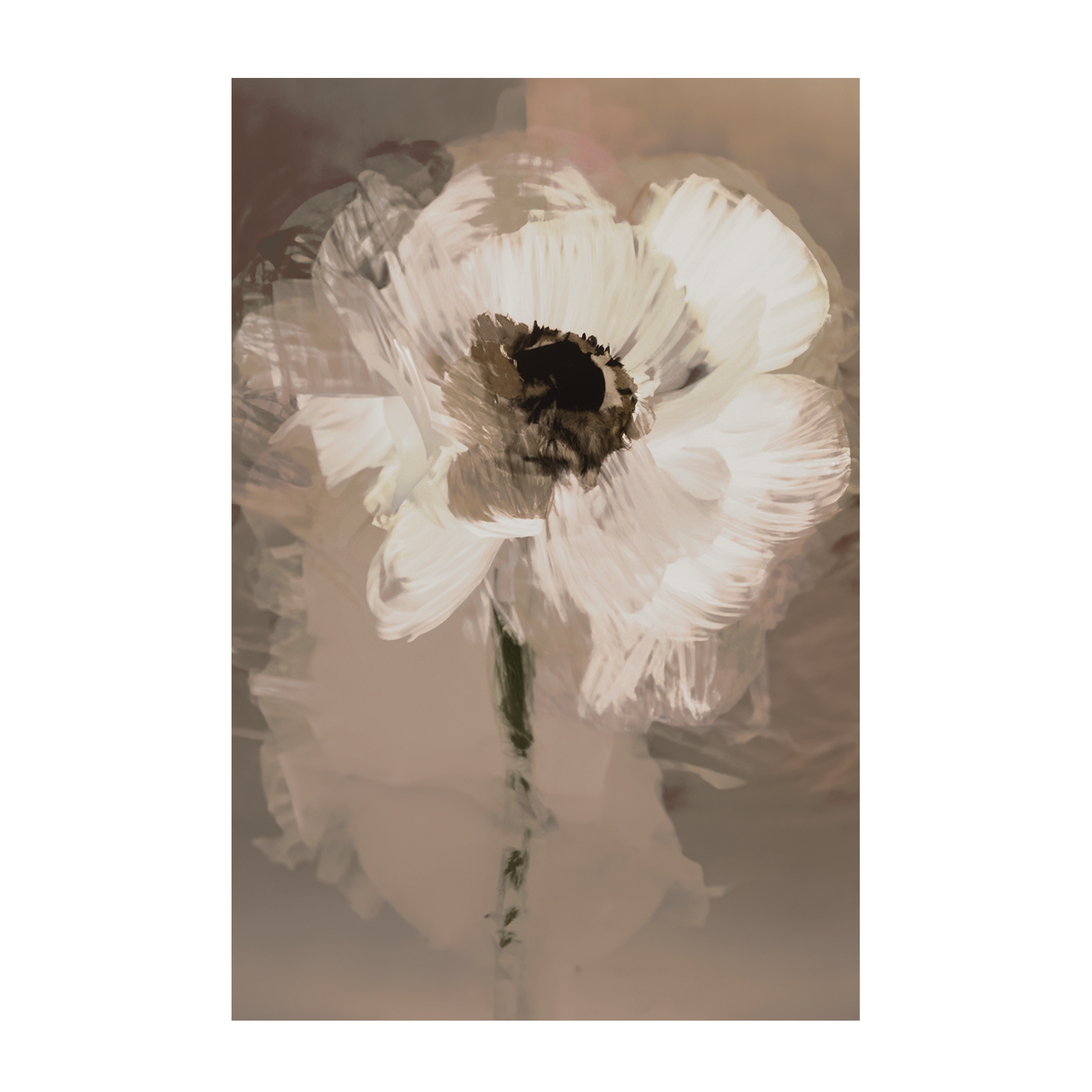 wall-art-print-canvas-poster-framed-Muted Daisy , By Dear Musketeer Studio-1