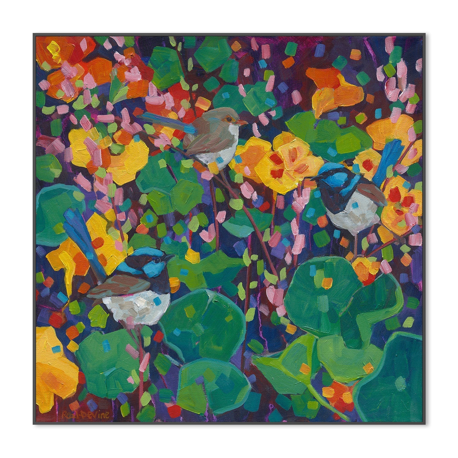 wall-art-print-canvas-poster-framed-Nasturtium Party , By Mellissa Read-Devine , By Mellissa Read-Devine-3