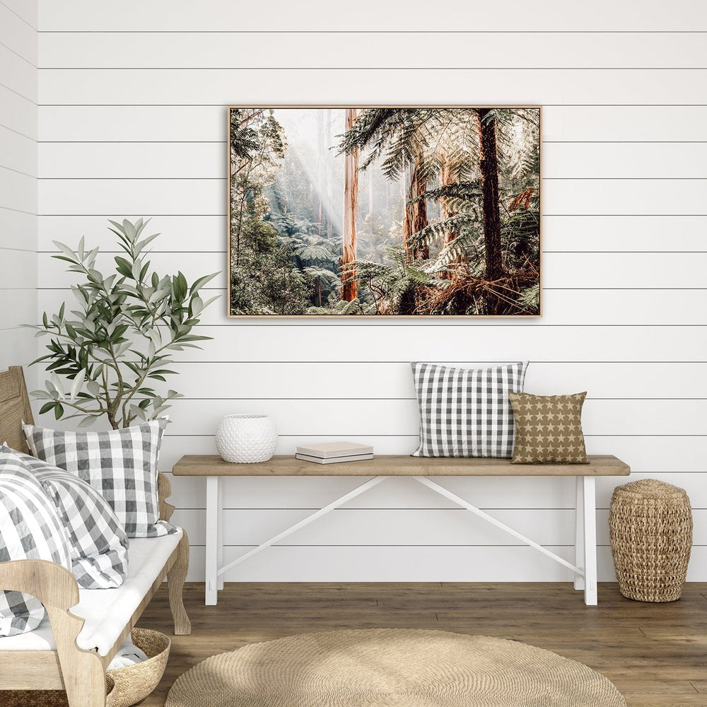 Native Australian Rainforest - Eucalyptus Trees and Ferns-Gioia-Prints-Framed-Canvas-Poster-GIOIA-WALL-ART