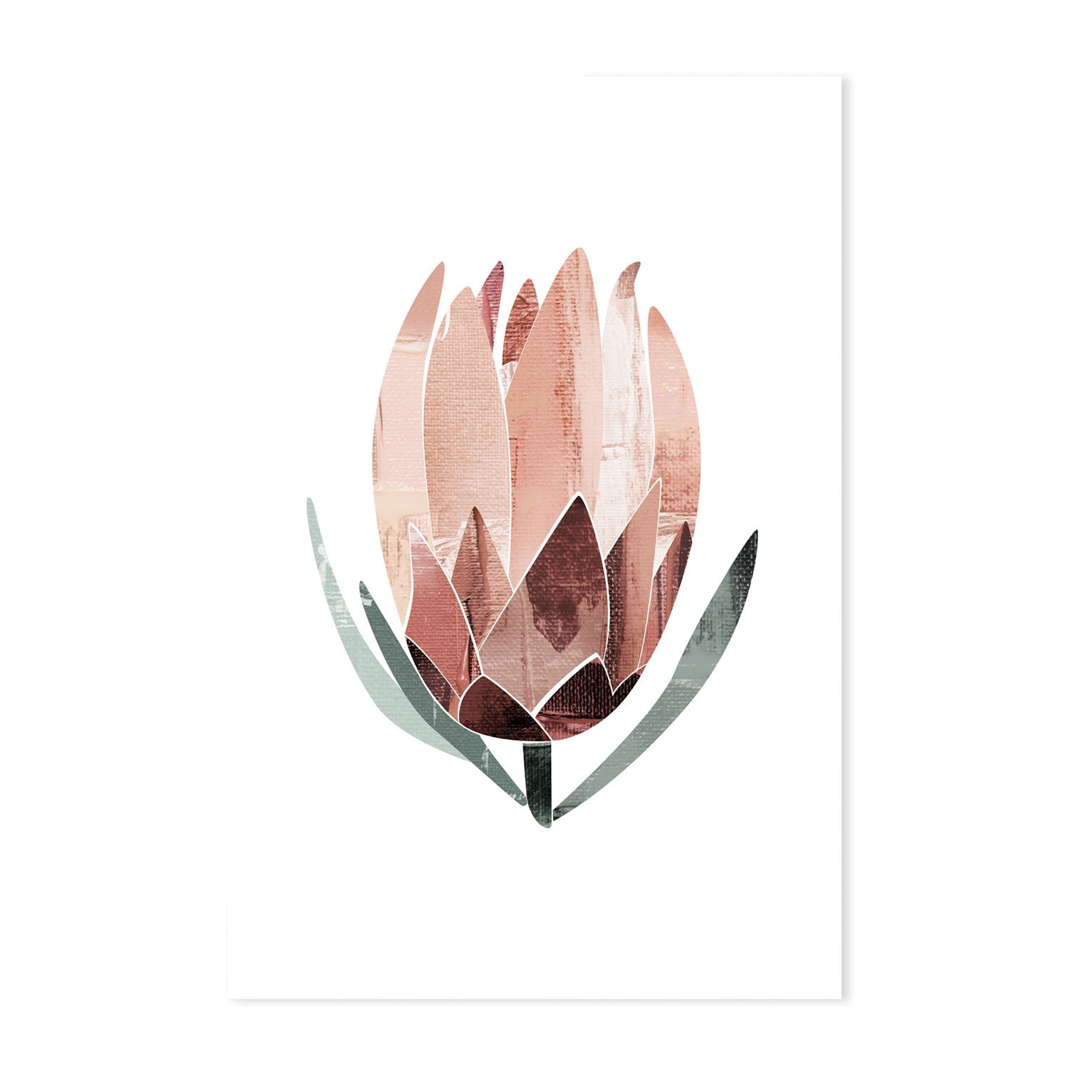 wall-art-print-canvas-poster-framed-Native Protea-by-Dear Musketeer Studio-Gioia Wall Art