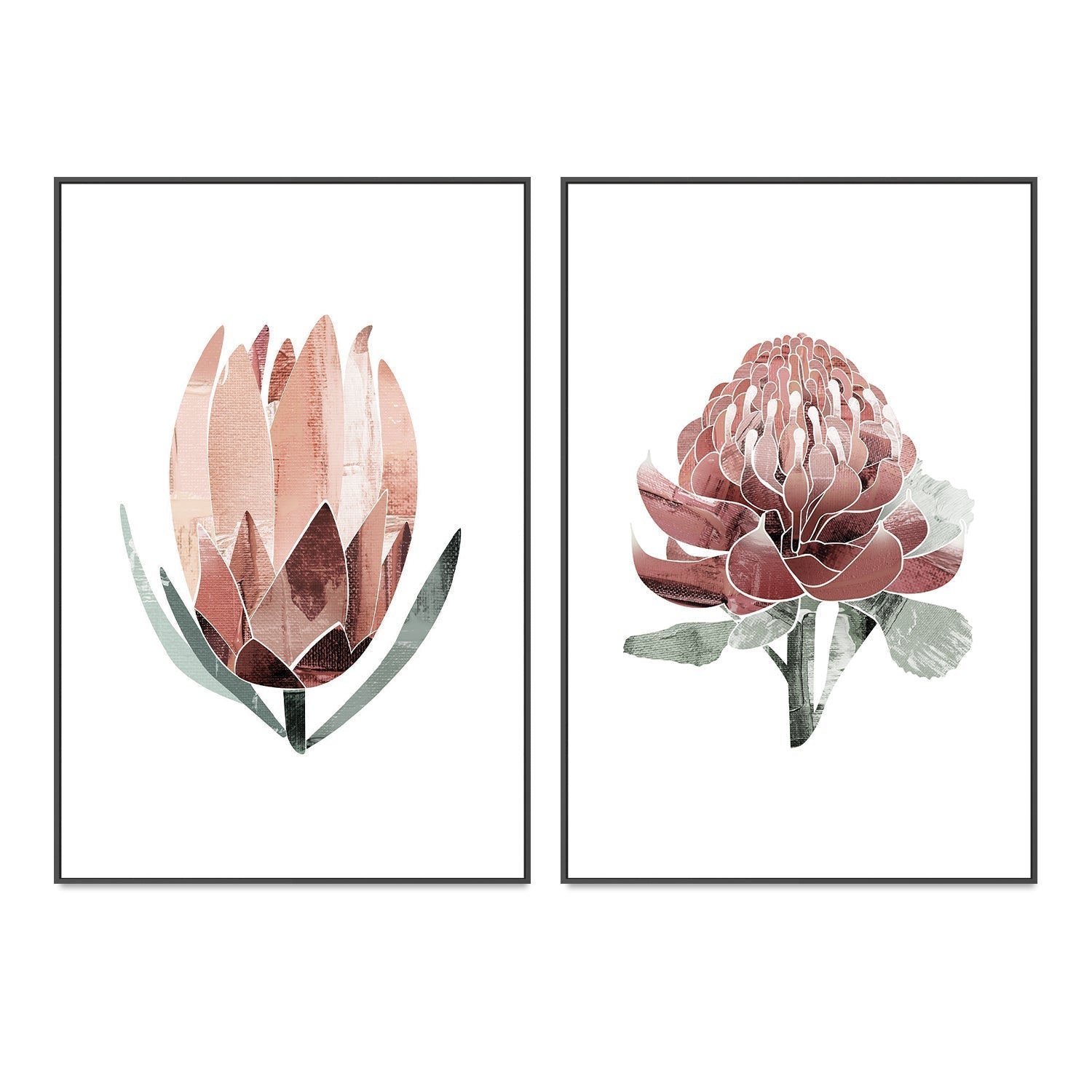 wall-art-print-canvas-poster-framed-Native Protea & Waratah Pair-by-Dear Musketeer Studio-Gioia Wall Art