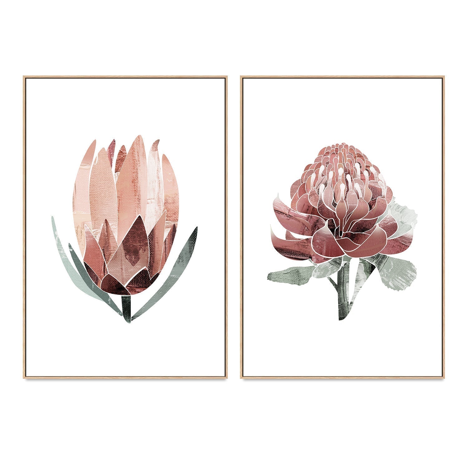 wall-art-print-canvas-poster-framed-Native Protea & Waratah Pair-by-Dear Musketeer Studio-Gioia Wall Art