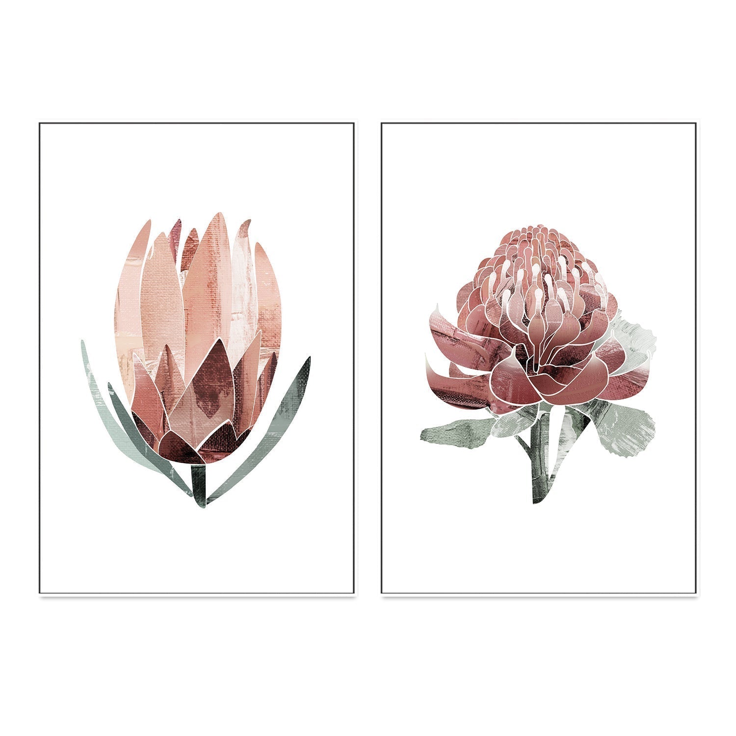 wall-art-print-canvas-poster-framed-Native Protea & Waratah Pair-by-Dear Musketeer Studio-Gioia Wall Art