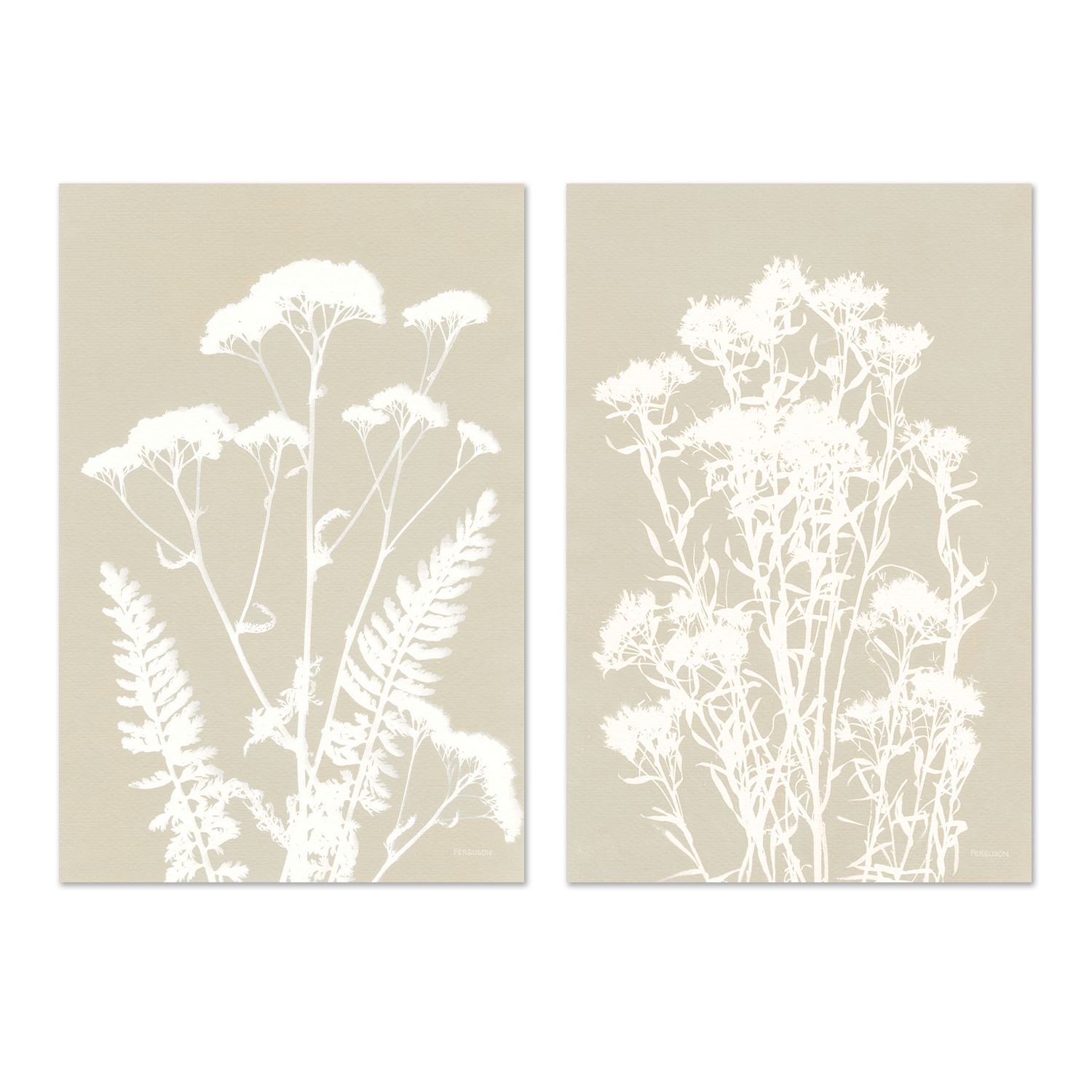 wall-art-print-canvas-poster-framed-Neutral Alpine Flowers, Style A & B, Set Of 2 , By Kathy Ferguson-GIOIA-WALL-ART