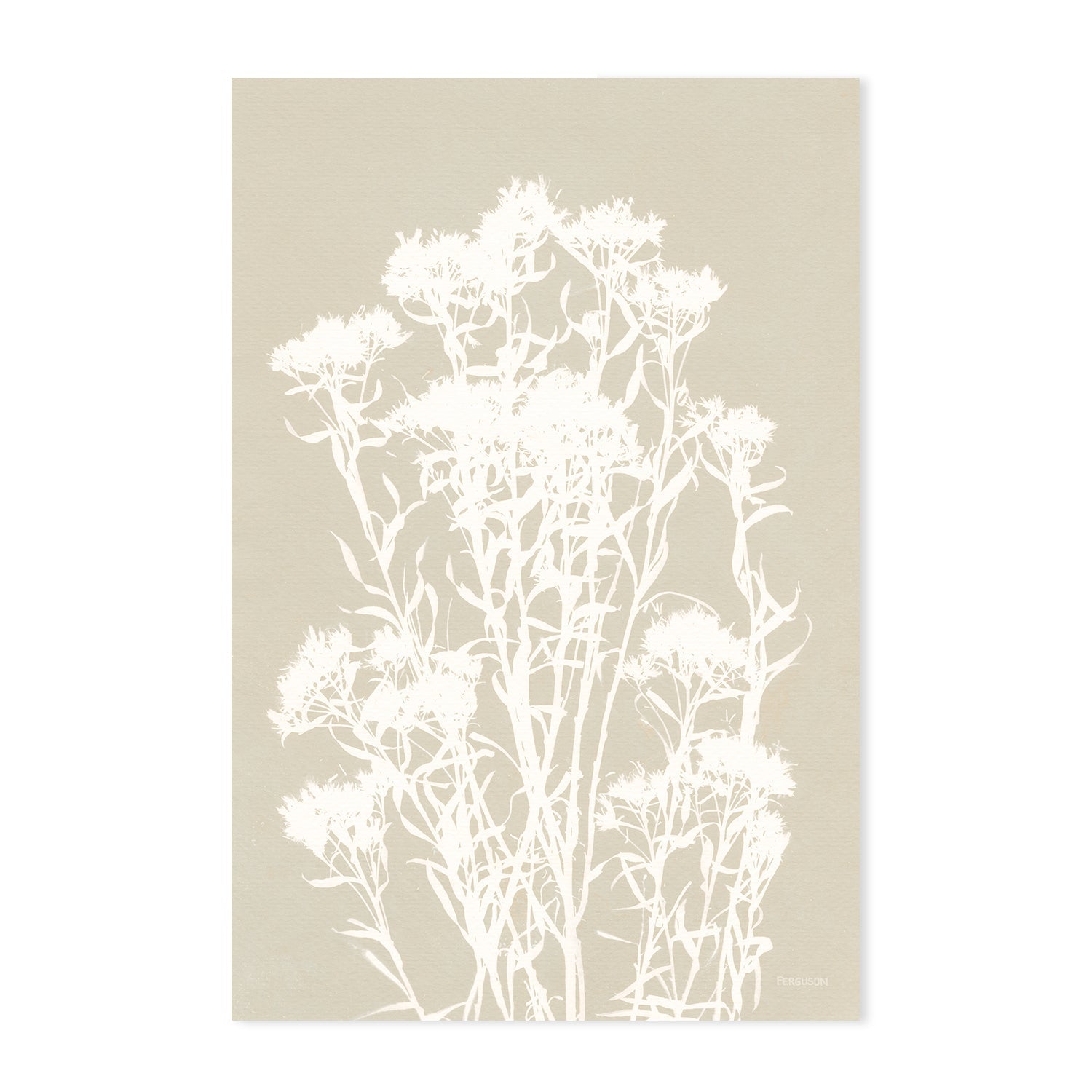 wall-art-print-canvas-poster-framed-Neutral Alpine Flowers, Style A & B, Set Of 2 , By Kathy Ferguson-GIOIA-WALL-ART