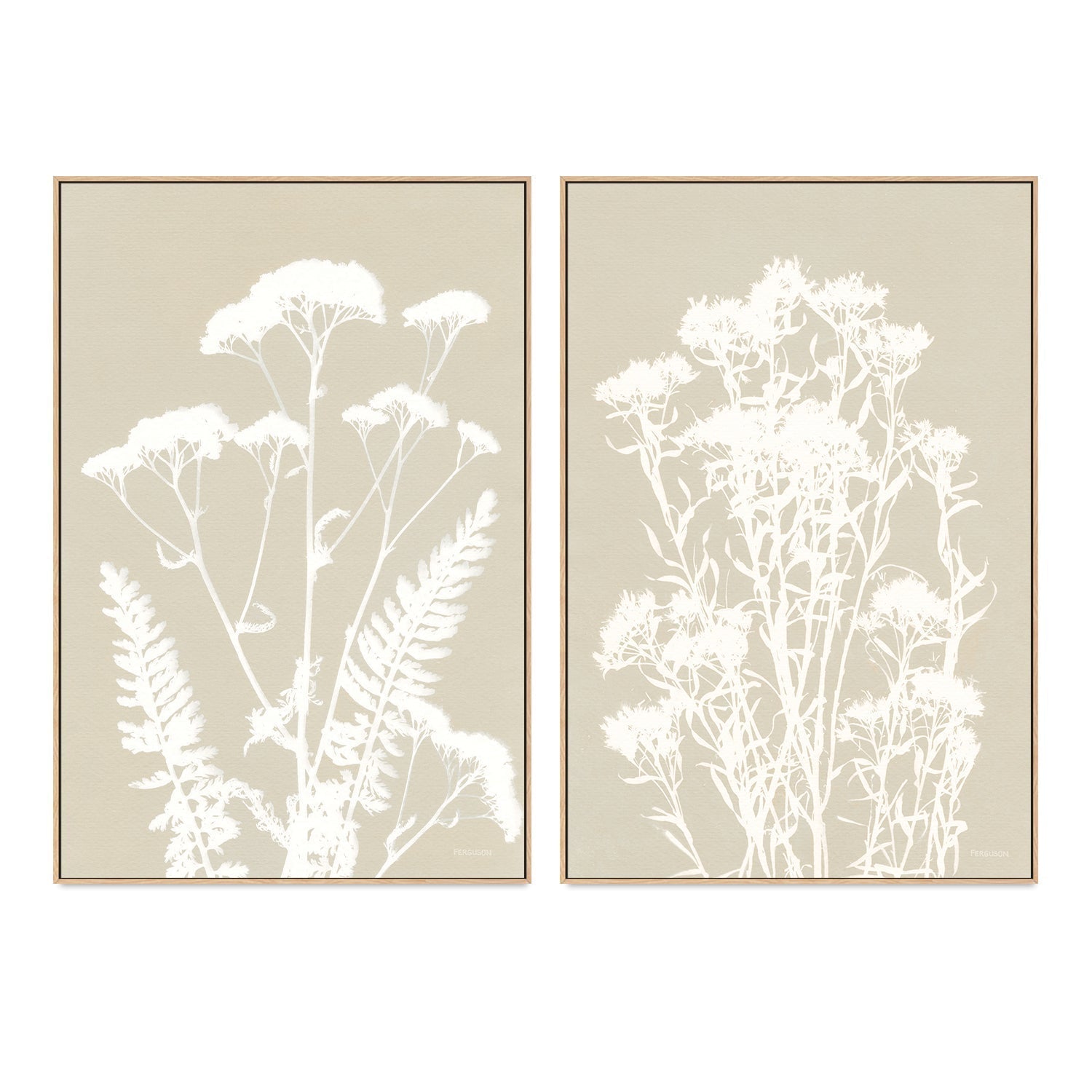 wall-art-print-canvas-poster-framed-Neutral Alpine Flowers, Style A & B, Set Of 2 , By Kathy Ferguson-GIOIA-WALL-ART