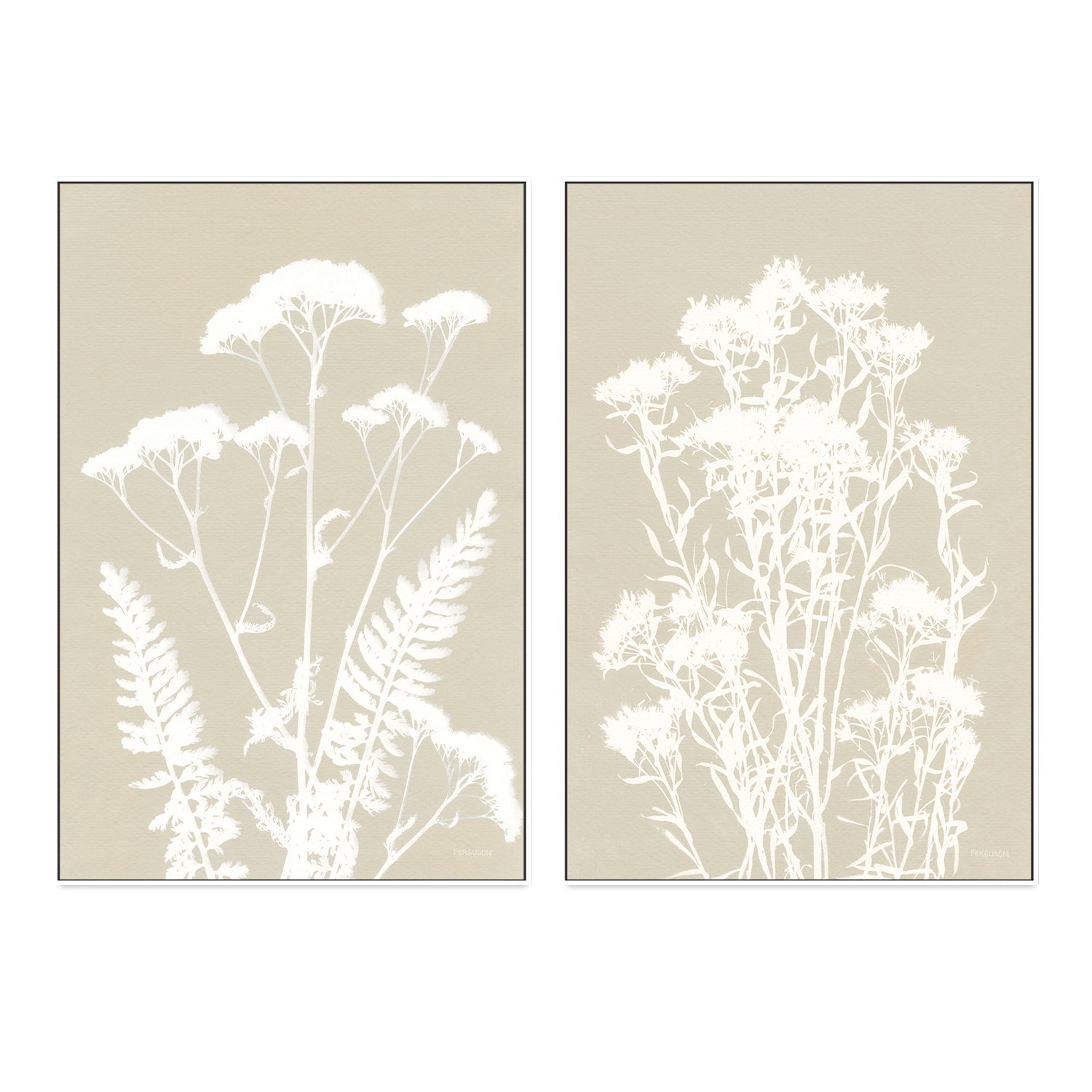 wall-art-print-canvas-poster-framed-Neutral Alpine Flowers, Style A & B, Set Of 2 , By Kathy Ferguson-GIOIA-WALL-ART