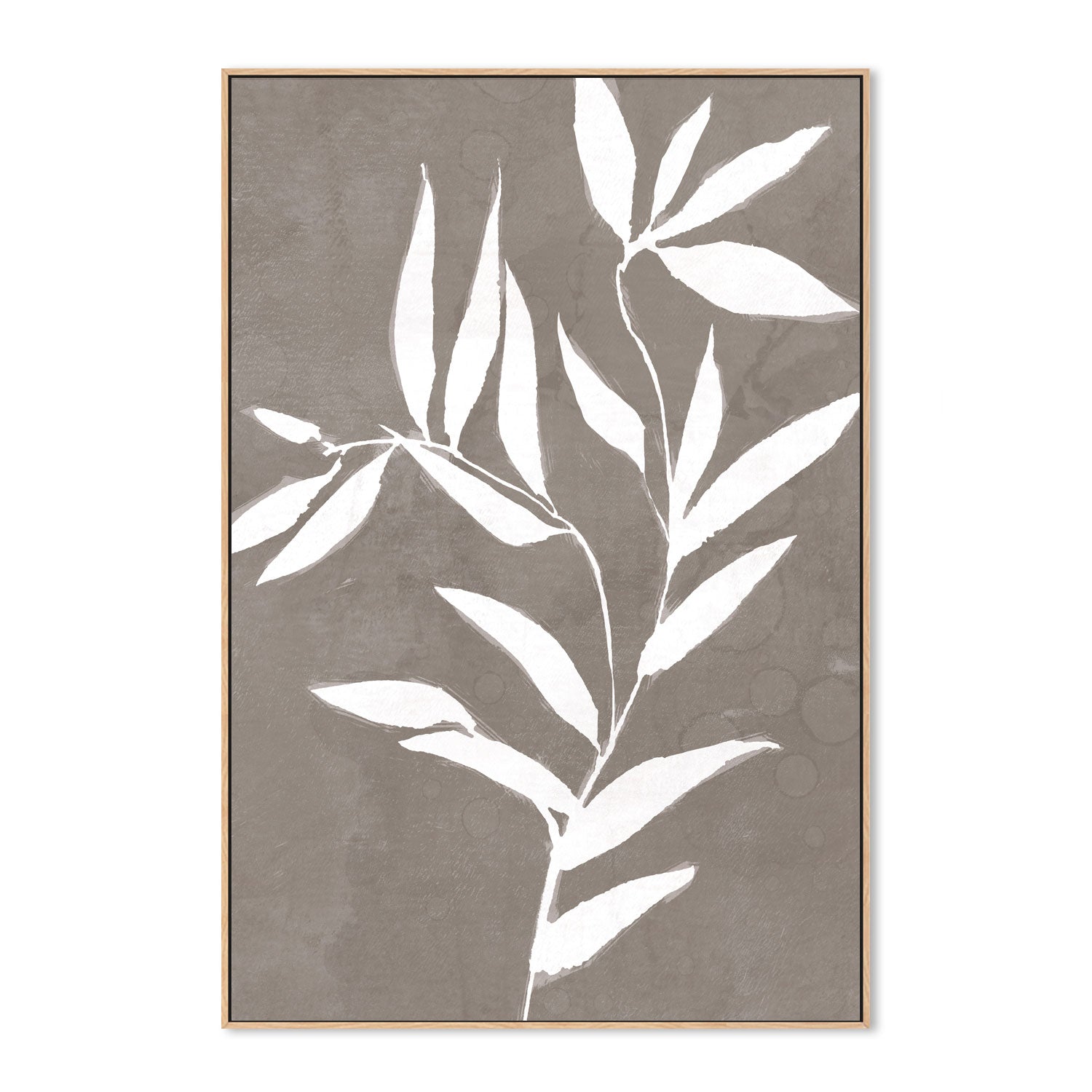 wall-art-print-canvas-poster-framed-Neutral Botanical, Style D , By Nina Blue-4