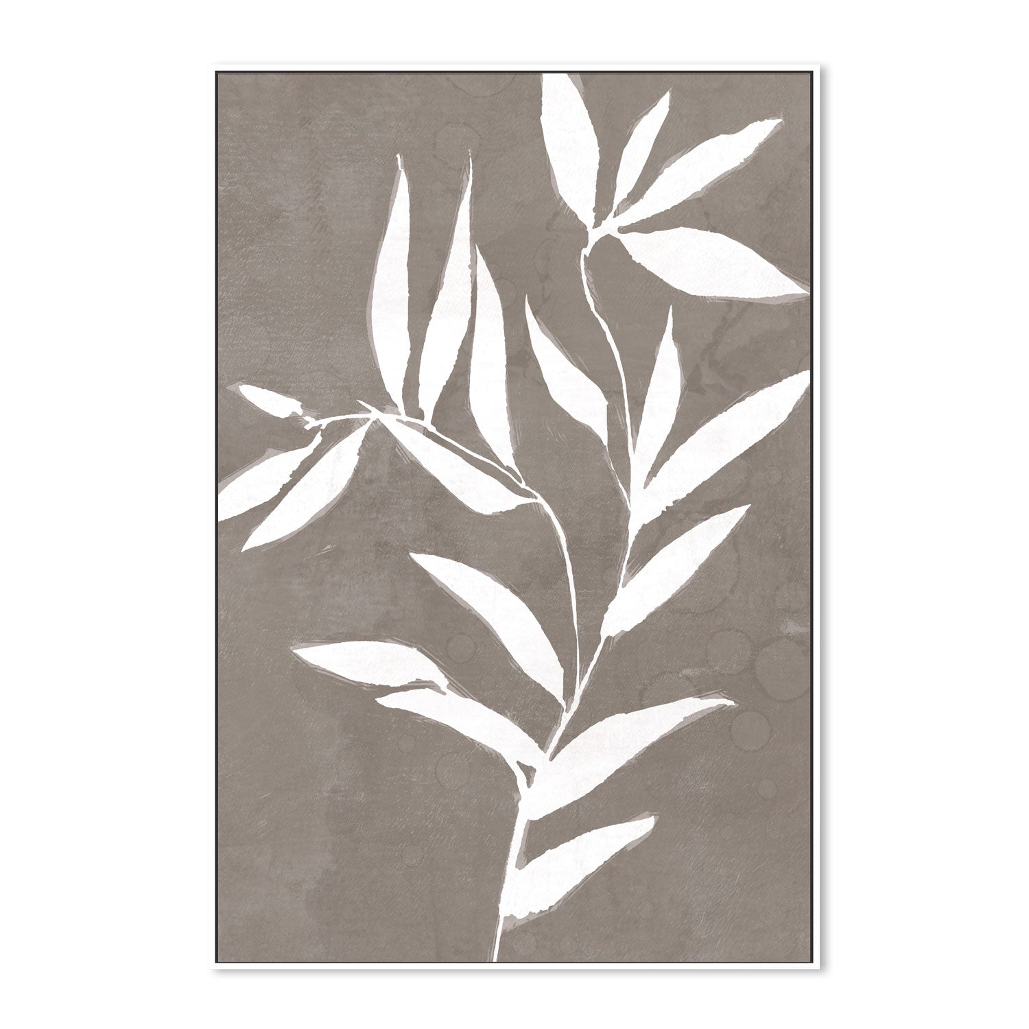 wall-art-print-canvas-poster-framed-Neutral Botanical, Style D , By Nina Blue-5