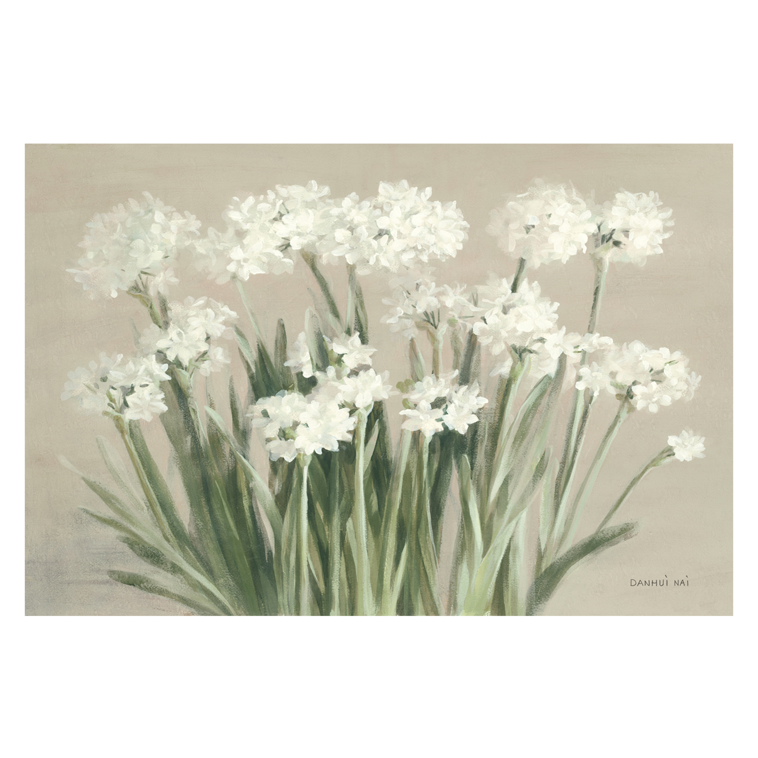 wall-art-print-canvas-poster-framed-Neutral Snowy Paperwhites , By Danhui Nai-1