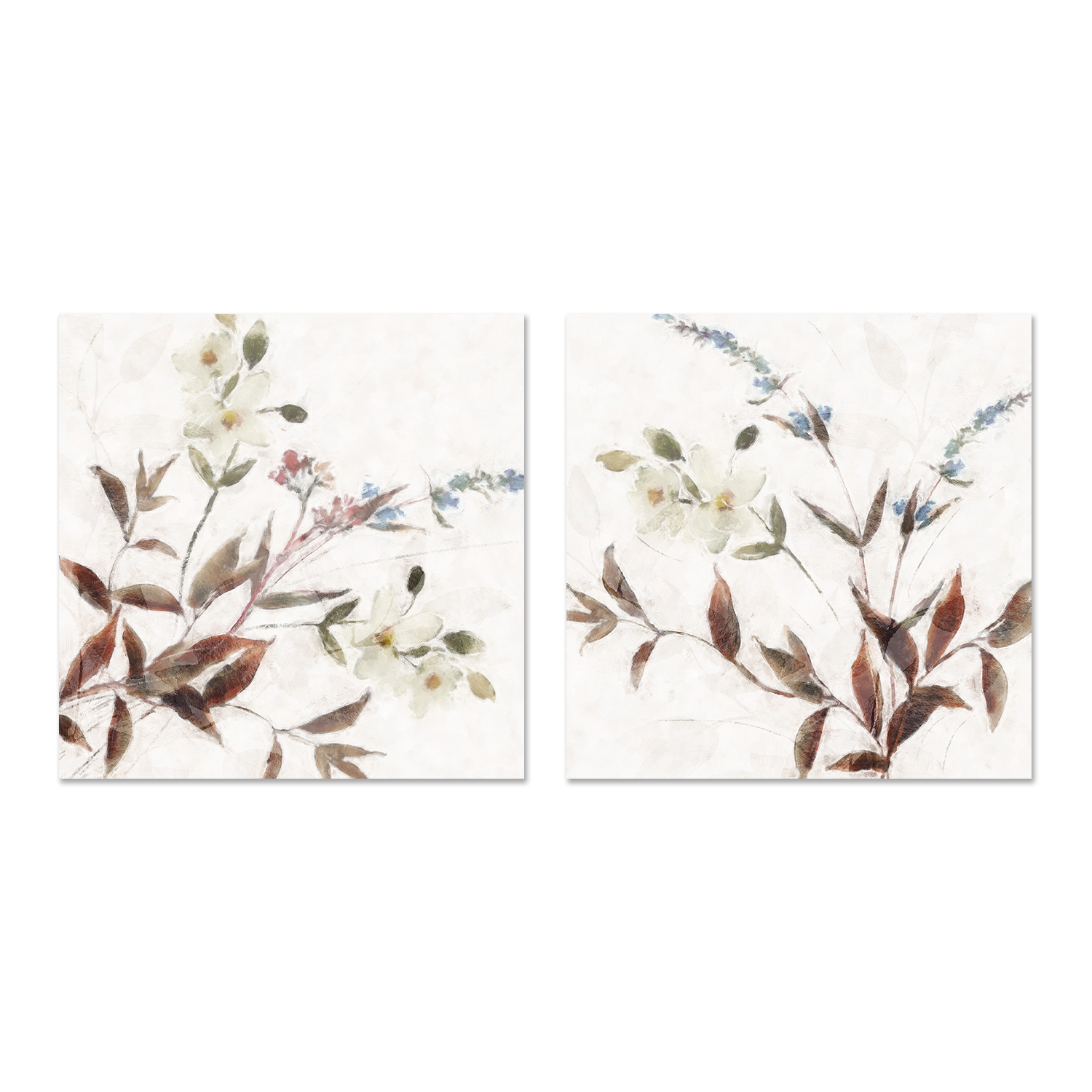 wall-art-print-canvas-poster-framed-Neutral Wild Flowers, Style A & B, Set of 2 , By Nina Blue-1