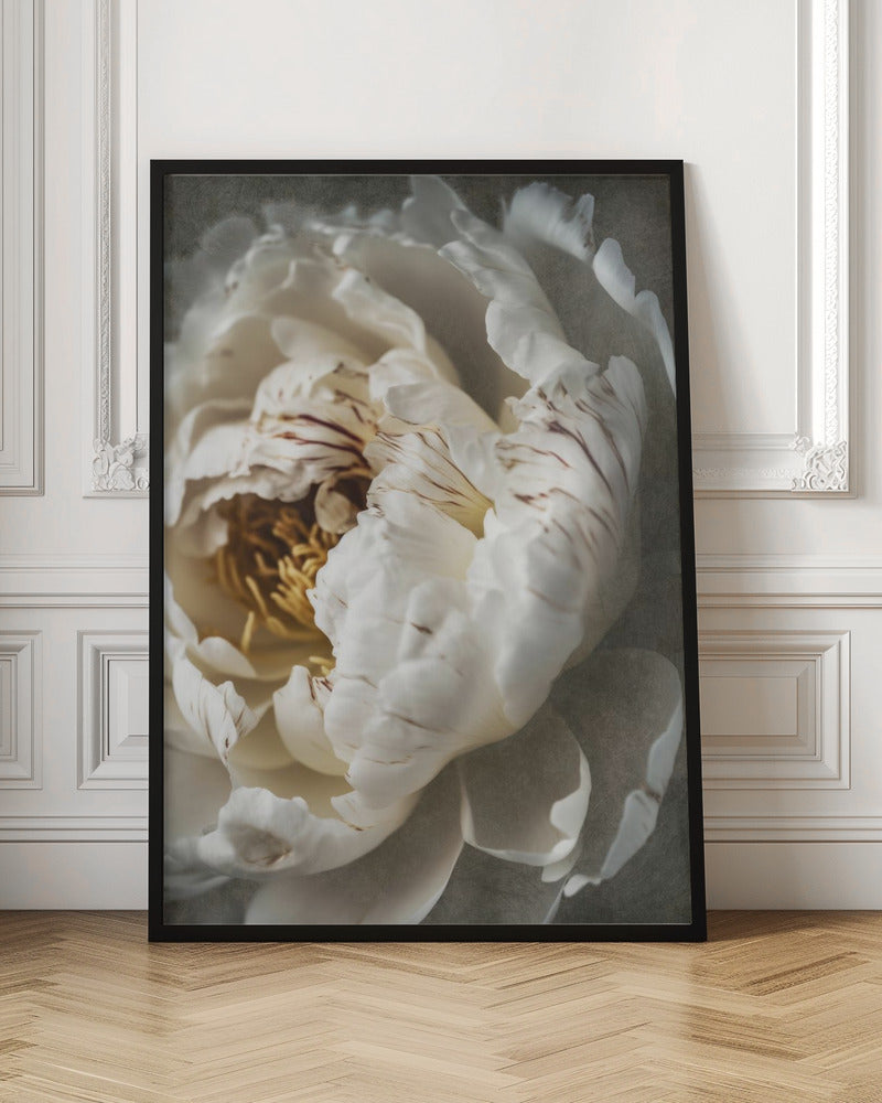 wall-art-print-canvas-poster-framed-Nostalgicnatureno20 , By Treechild-3