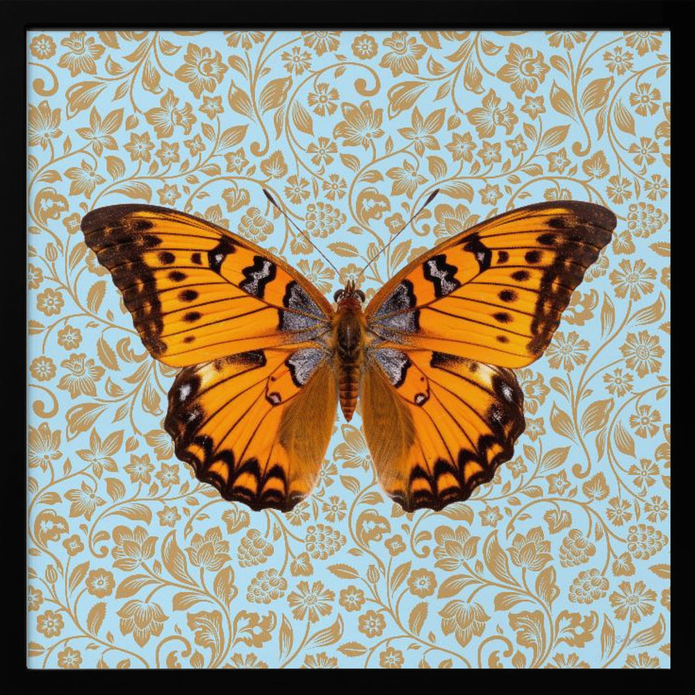 wall-art-print-canvas-poster-framed-Orange Butterfly , By Sue Skellern-1