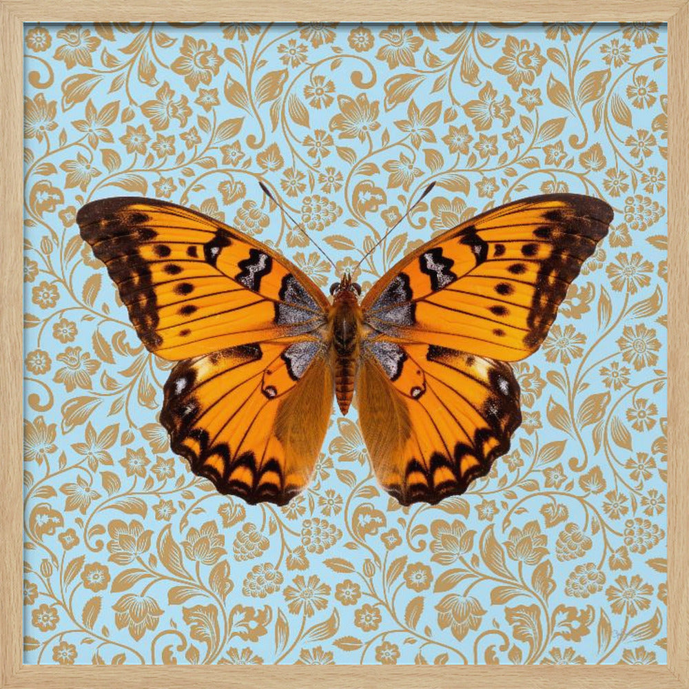 wall-art-print-canvas-poster-framed-Orange Butterfly , By Sue Skellern-2