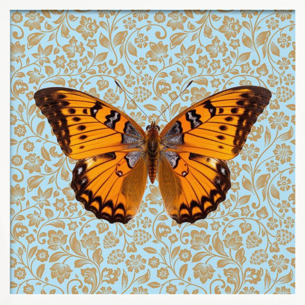 wall-art-print-canvas-poster-framed-Orange Butterfly , By Sue Skellern-3