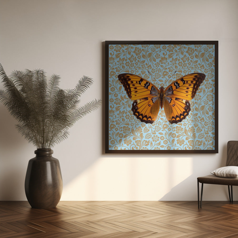 wall-art-print-canvas-poster-framed-Orange Butterfly , By Sue Skellern-8