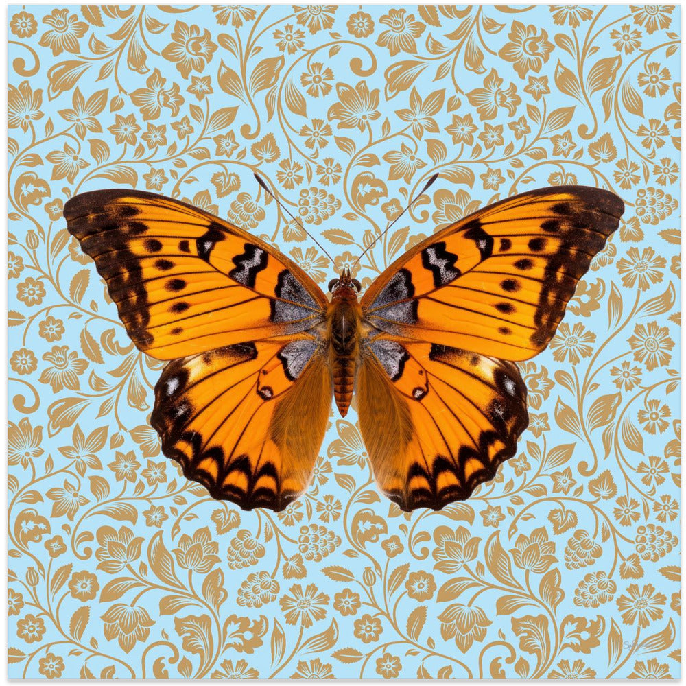 wall-art-print-canvas-poster-framed-Orange Butterfly , By Sue Skellern-9