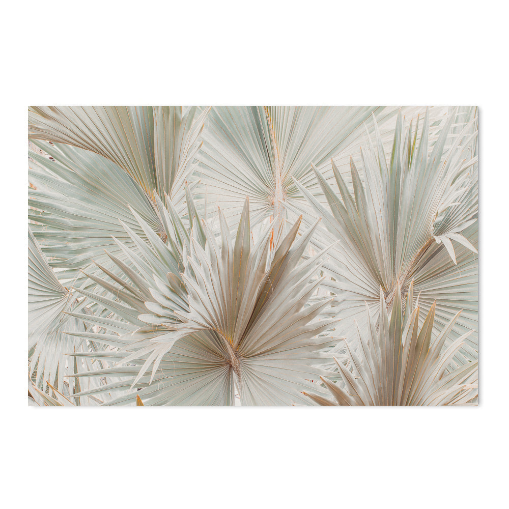 wall-art-print-canvas-poster-framed-Palm And Eucalyptus Leaves, Set Of 2-by-Gioia Wall Art-Gioia Wall Art