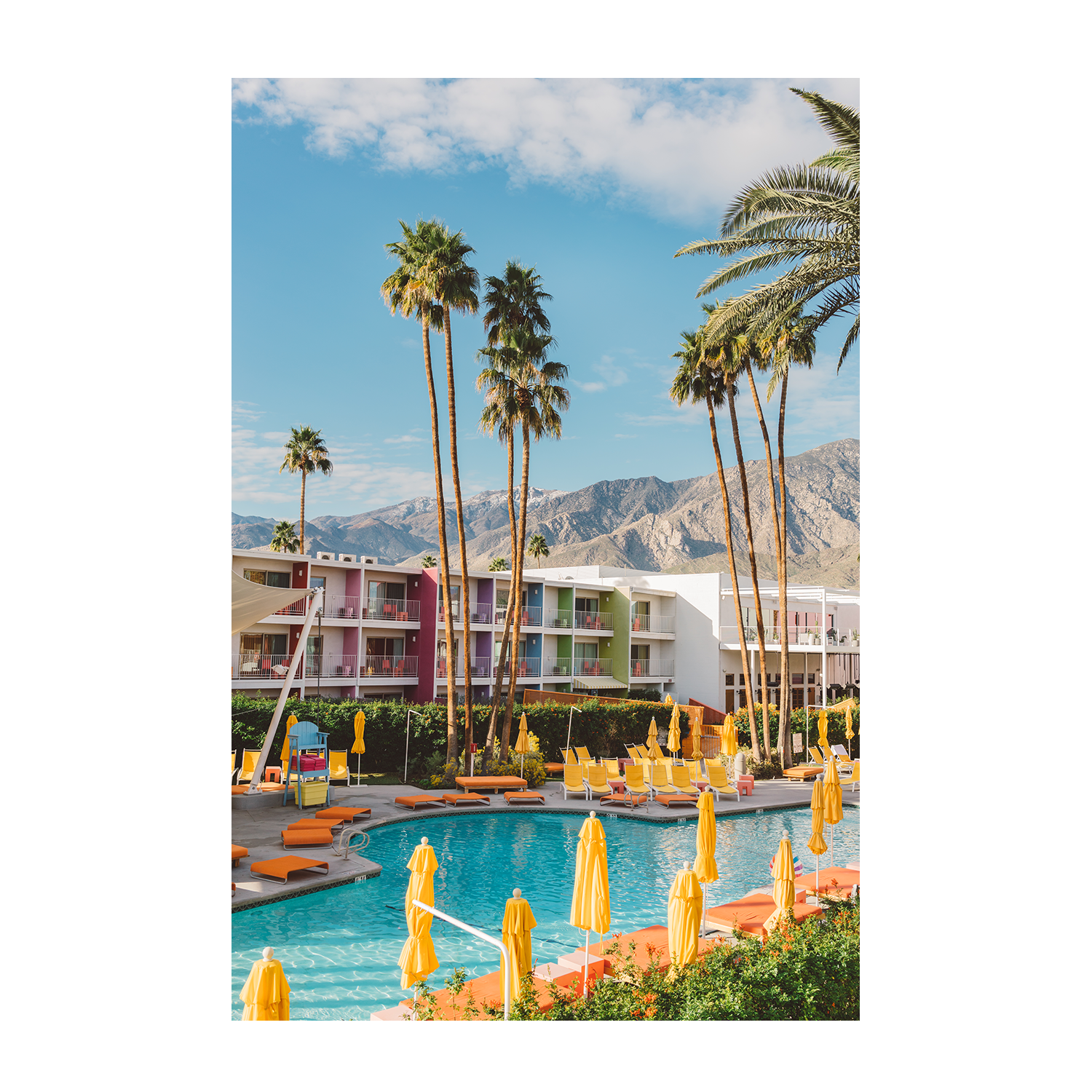 wall-art-print-canvas-poster-framed-Palm Springs Saguaro & Palm Springs Pool Day VII, Set Of 2 , By Bethany Young-7