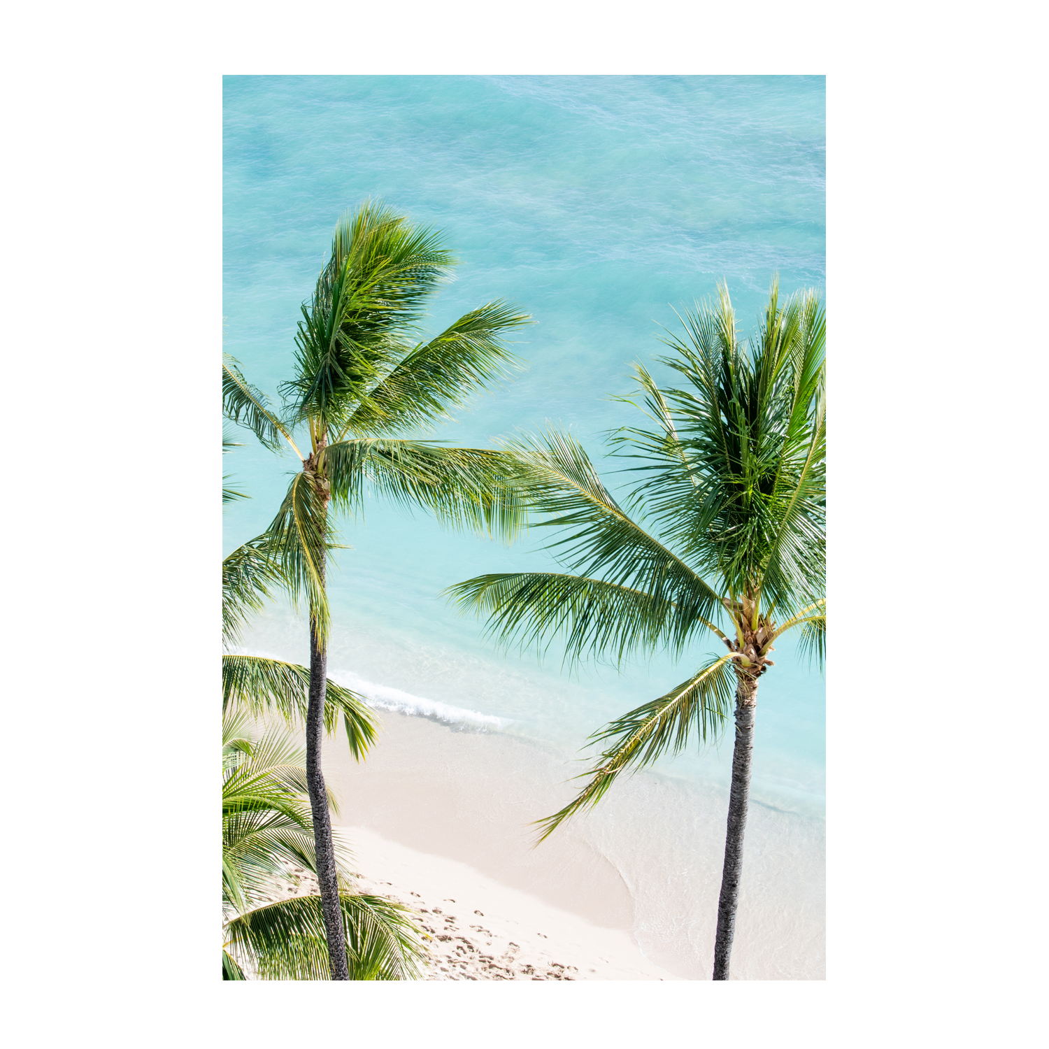 wall-art-print-canvas-poster-framed-Paradise Found , By Richard Podgurski-1