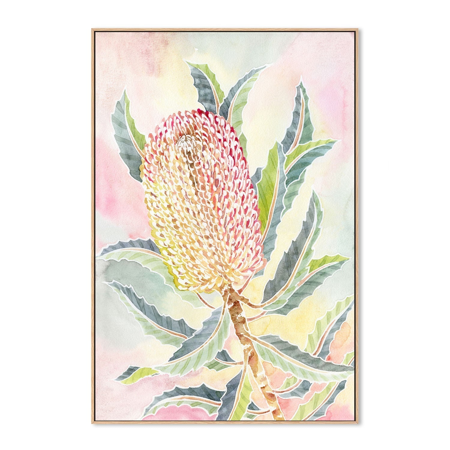 wall-art-print-canvas-poster-framed-Pastel Banksia , By Jessie Mitchelson-GIOIA-WALL-ART